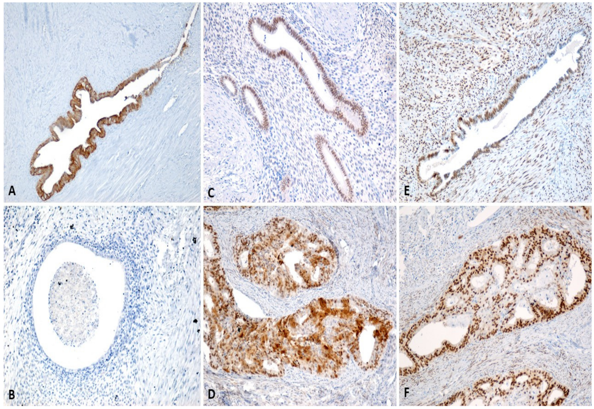 Ijms 23 05614 g004 550