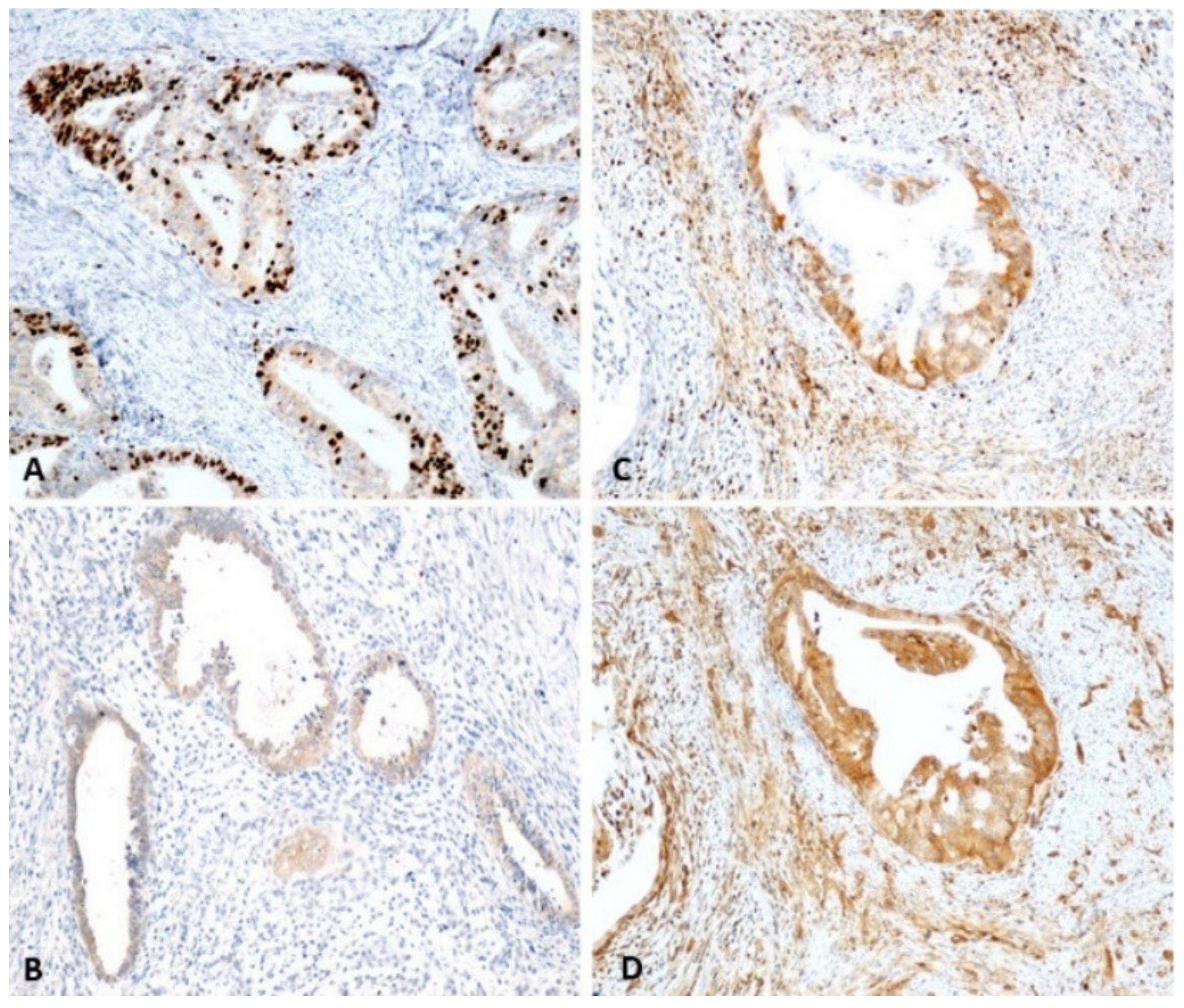 Ijms 23 05614 g006 550