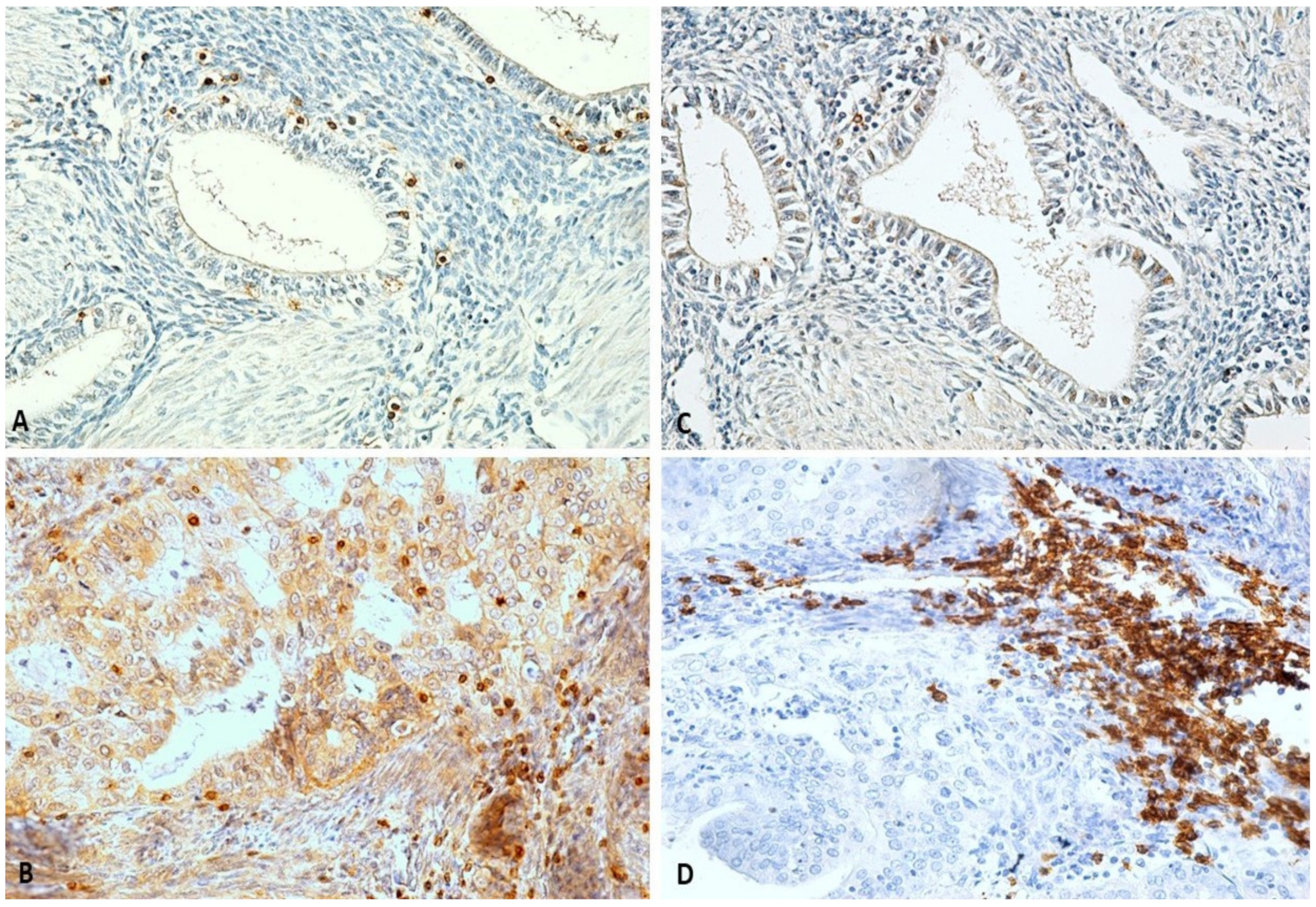 Ijms 23 05614 g007 550