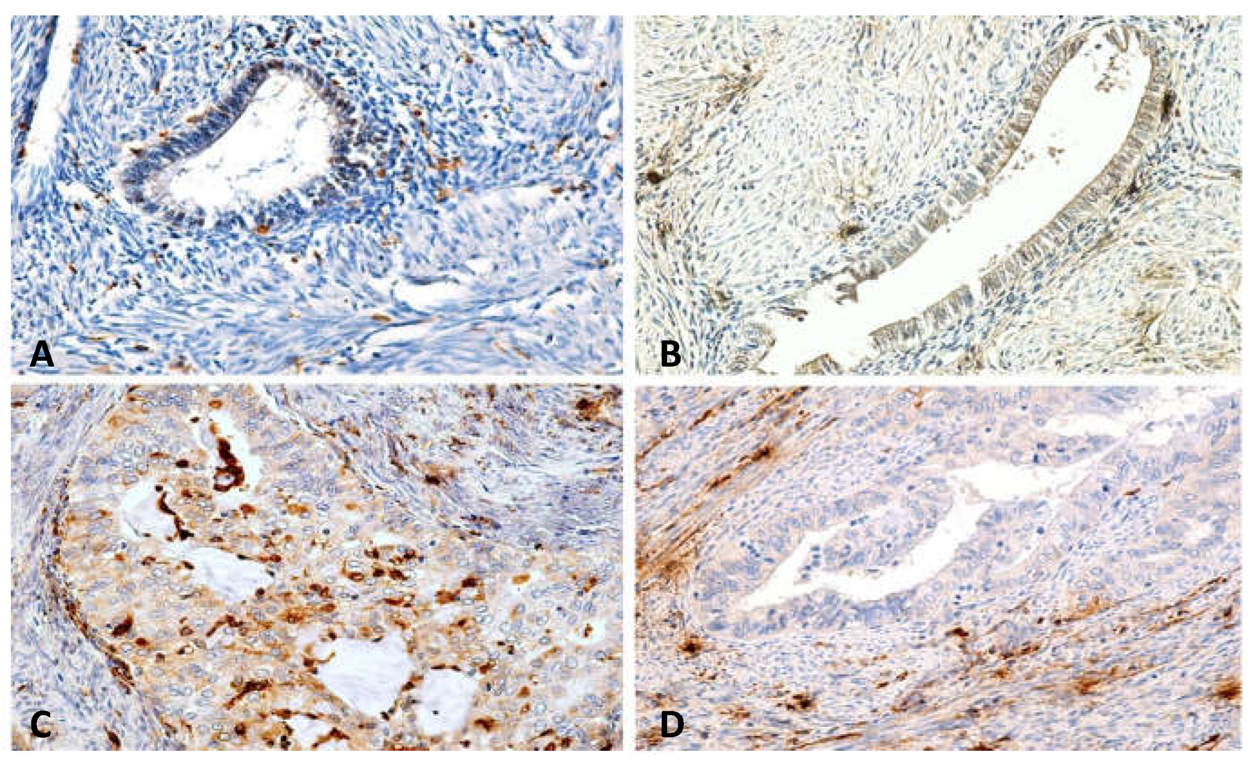 Ijms 23 05614 g008 550