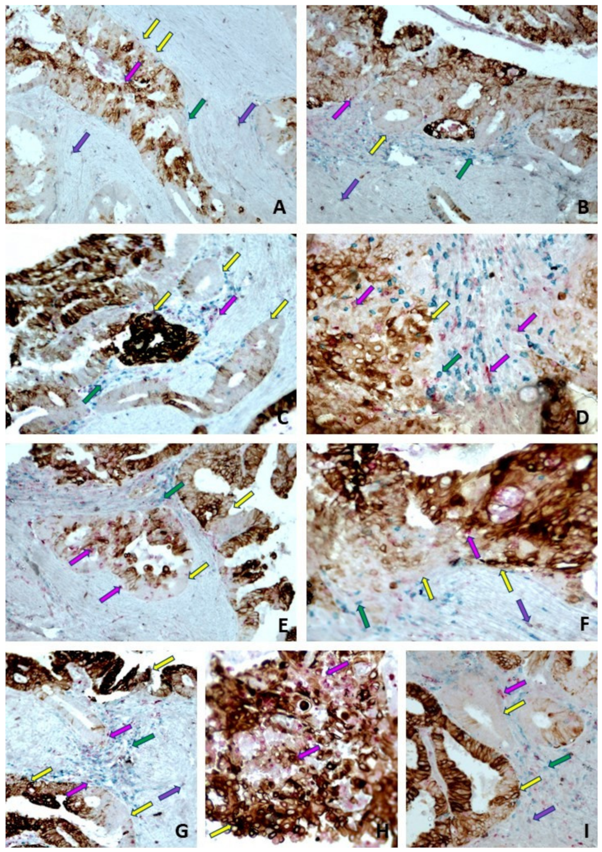 Ijms 23 05614 g009 550