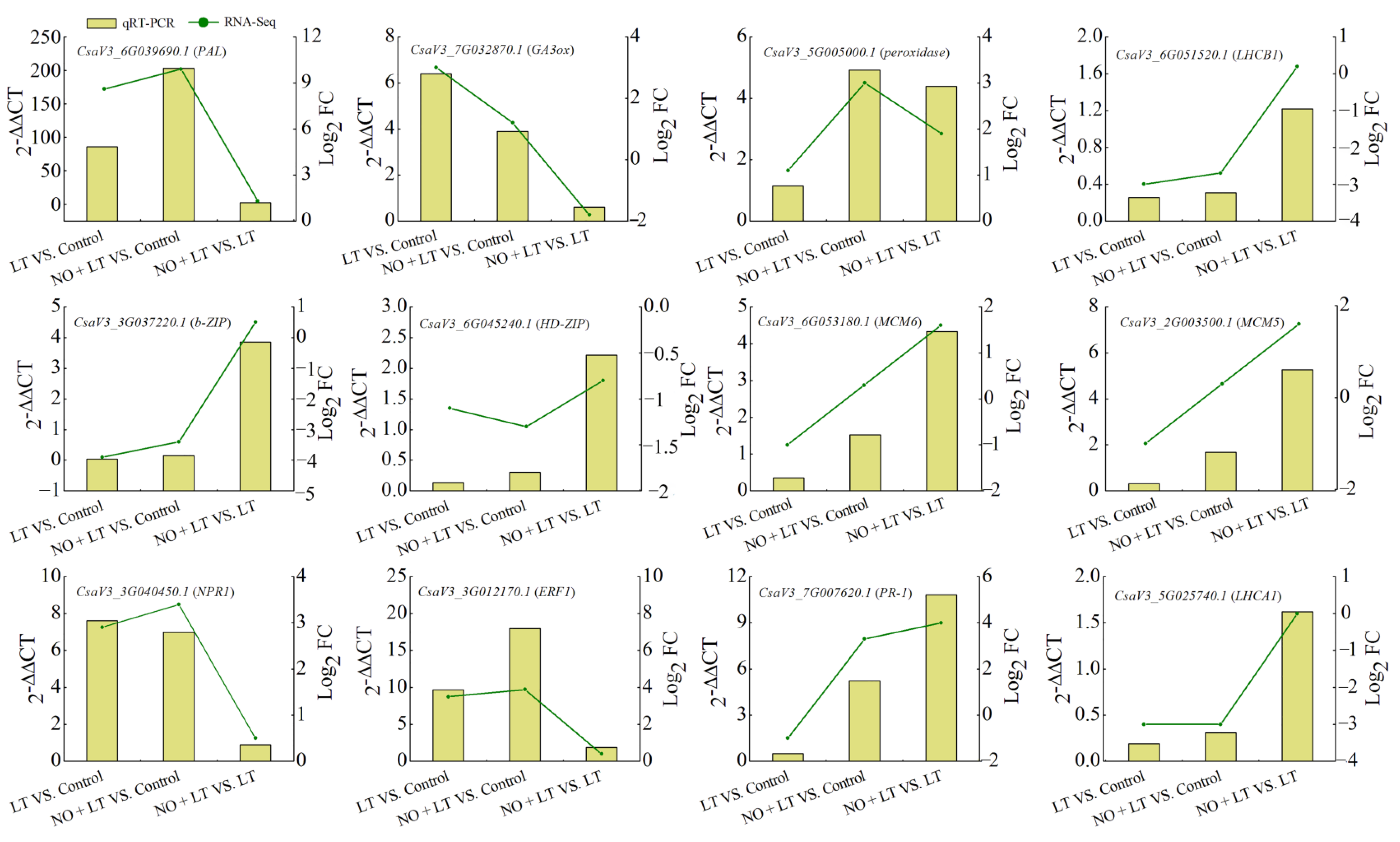 Ijms 23 05615 g007 550