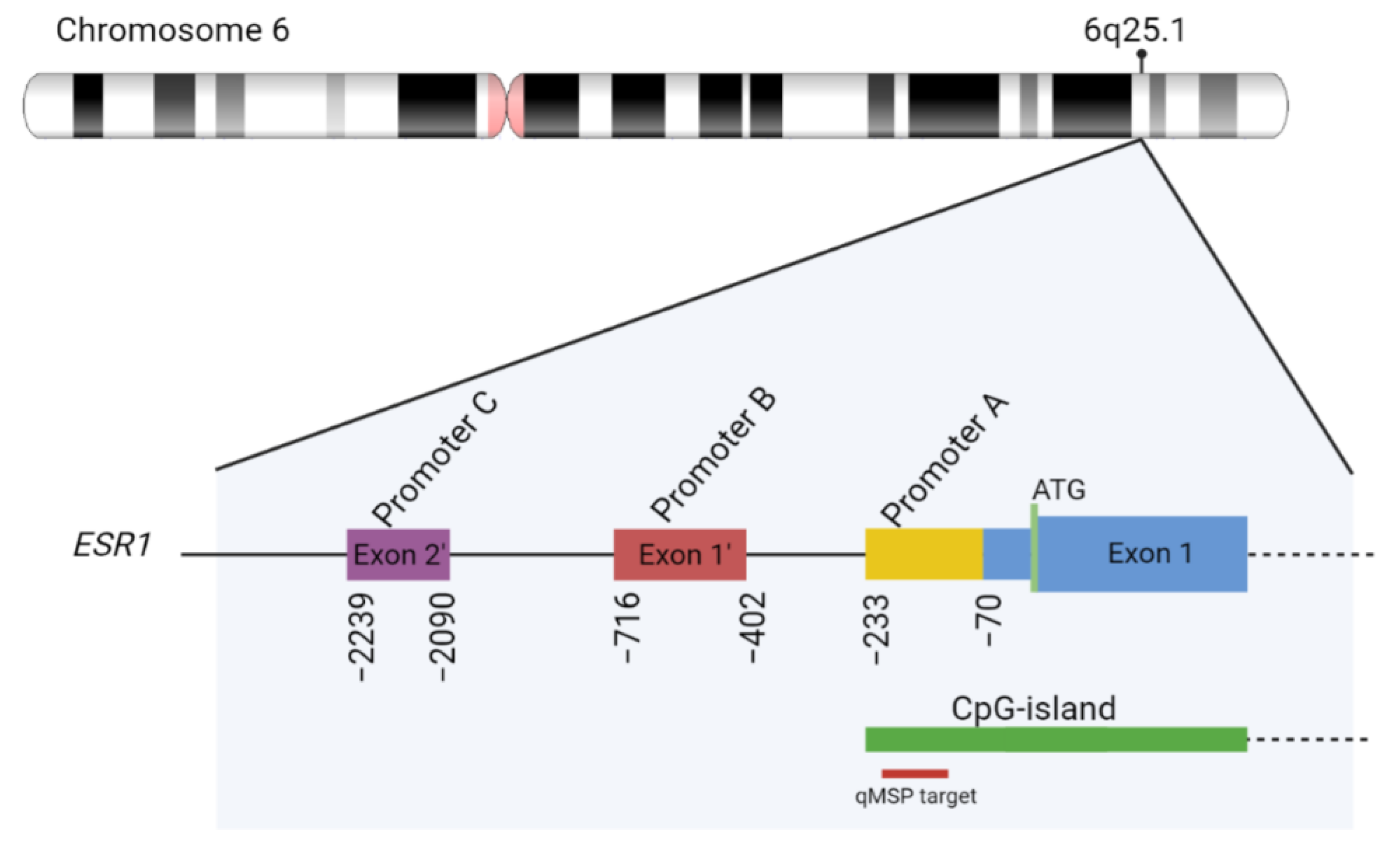 Ijms 23 05631 g004 550