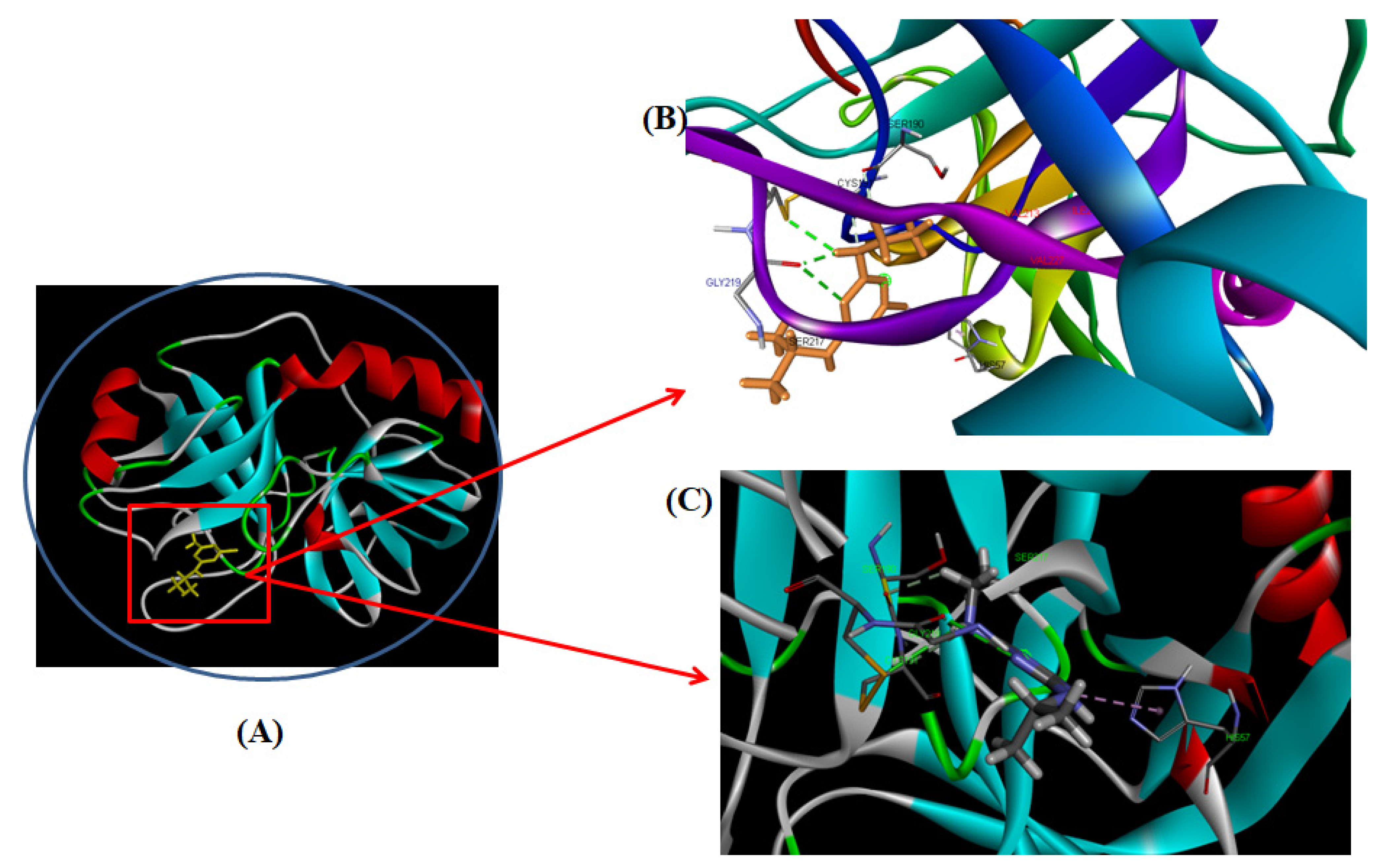 Ijms 23 05636 g007 550