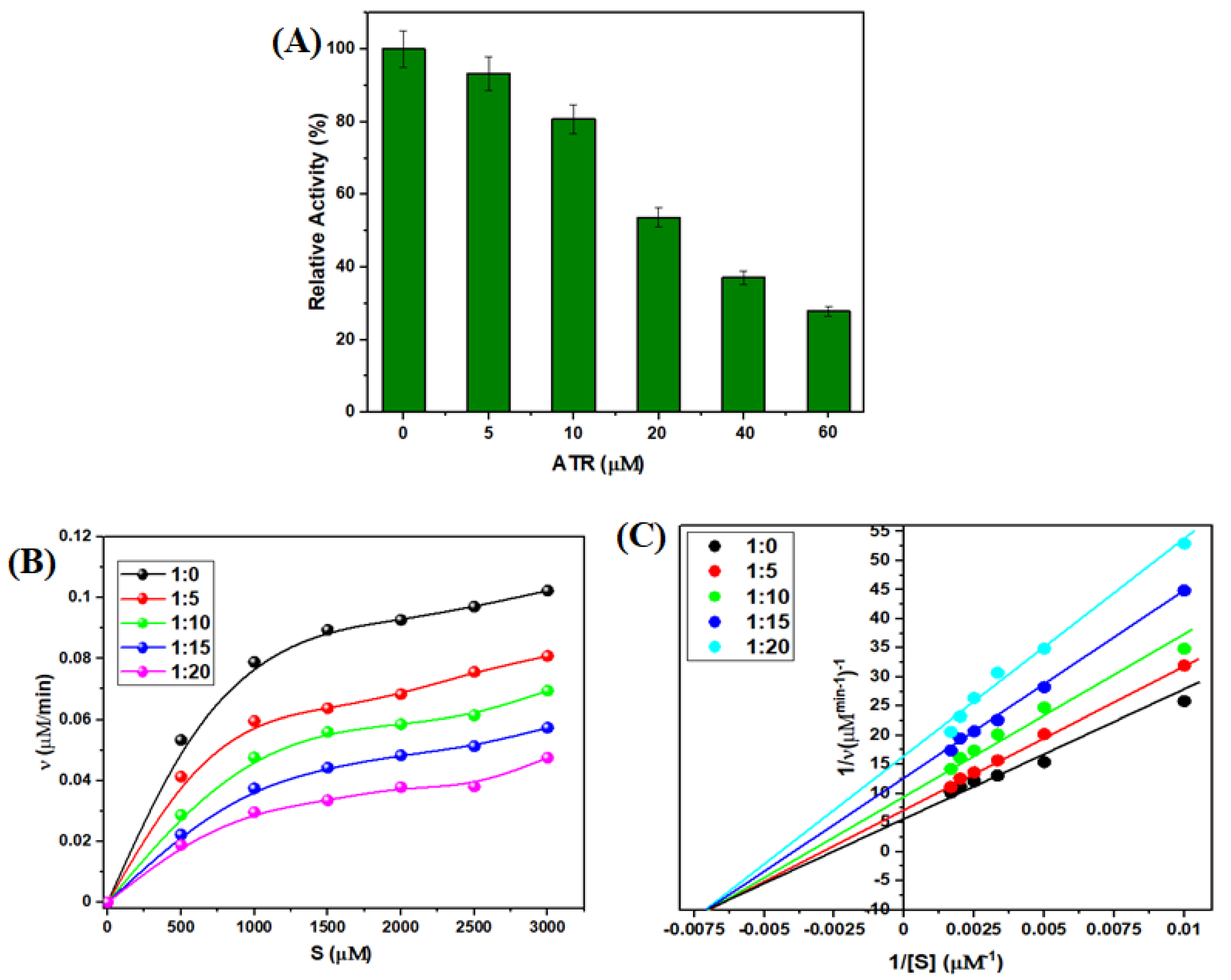 Ijms 23 05636 g009 550