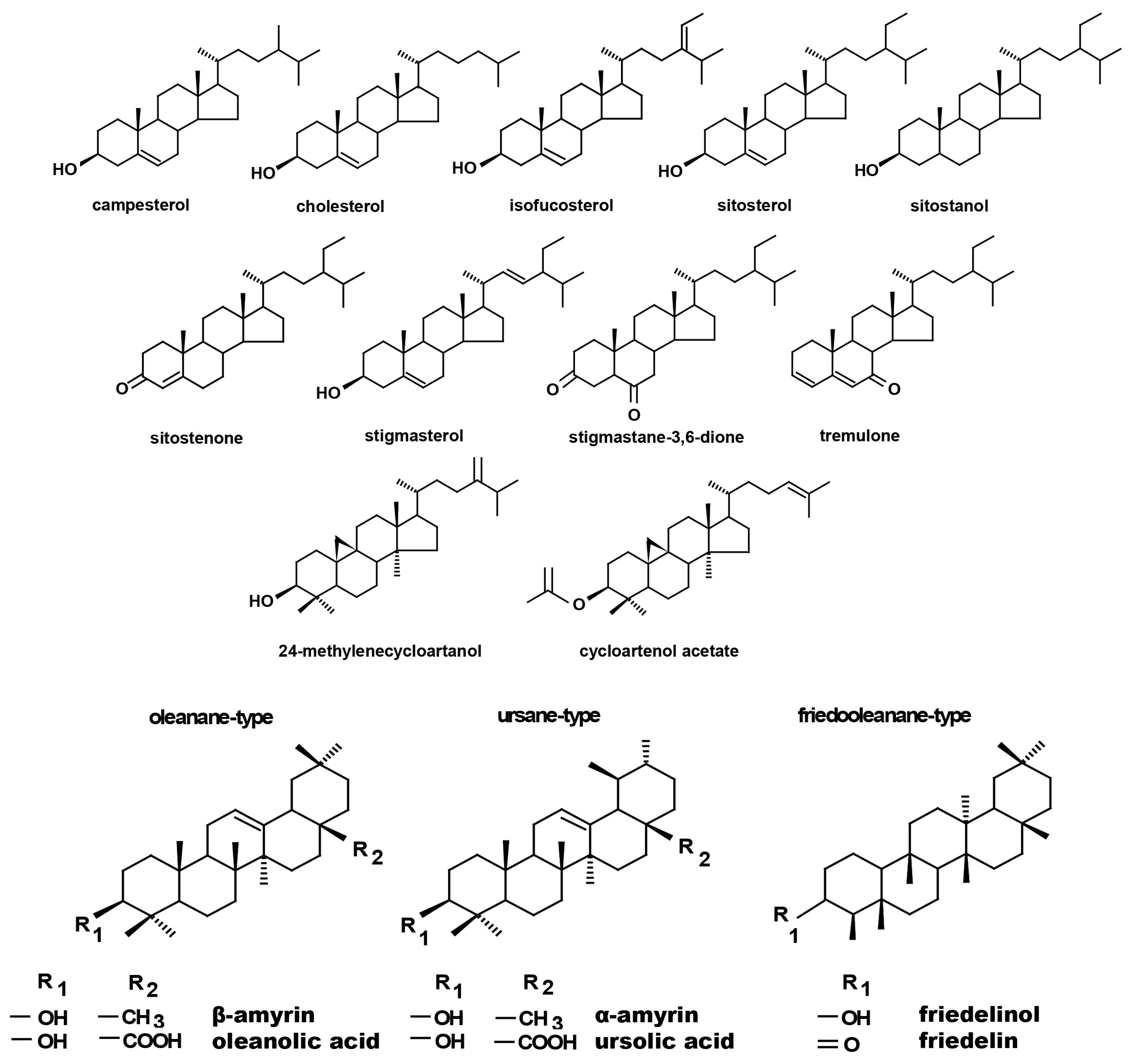 Ijms 23 05640 g004 550