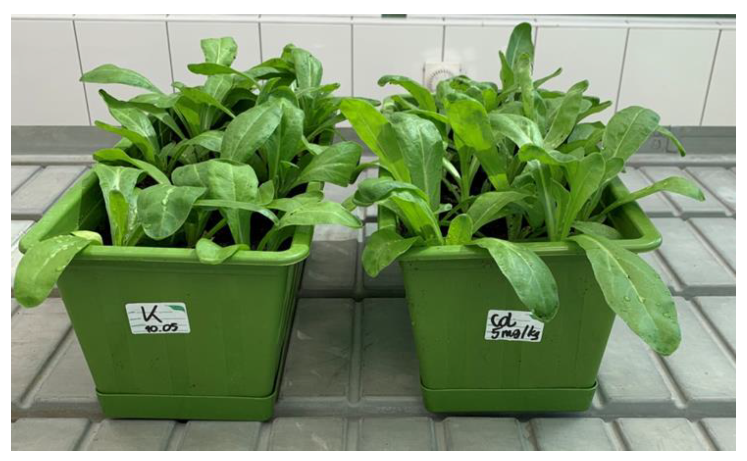 Ijms 23 05640 g011 550