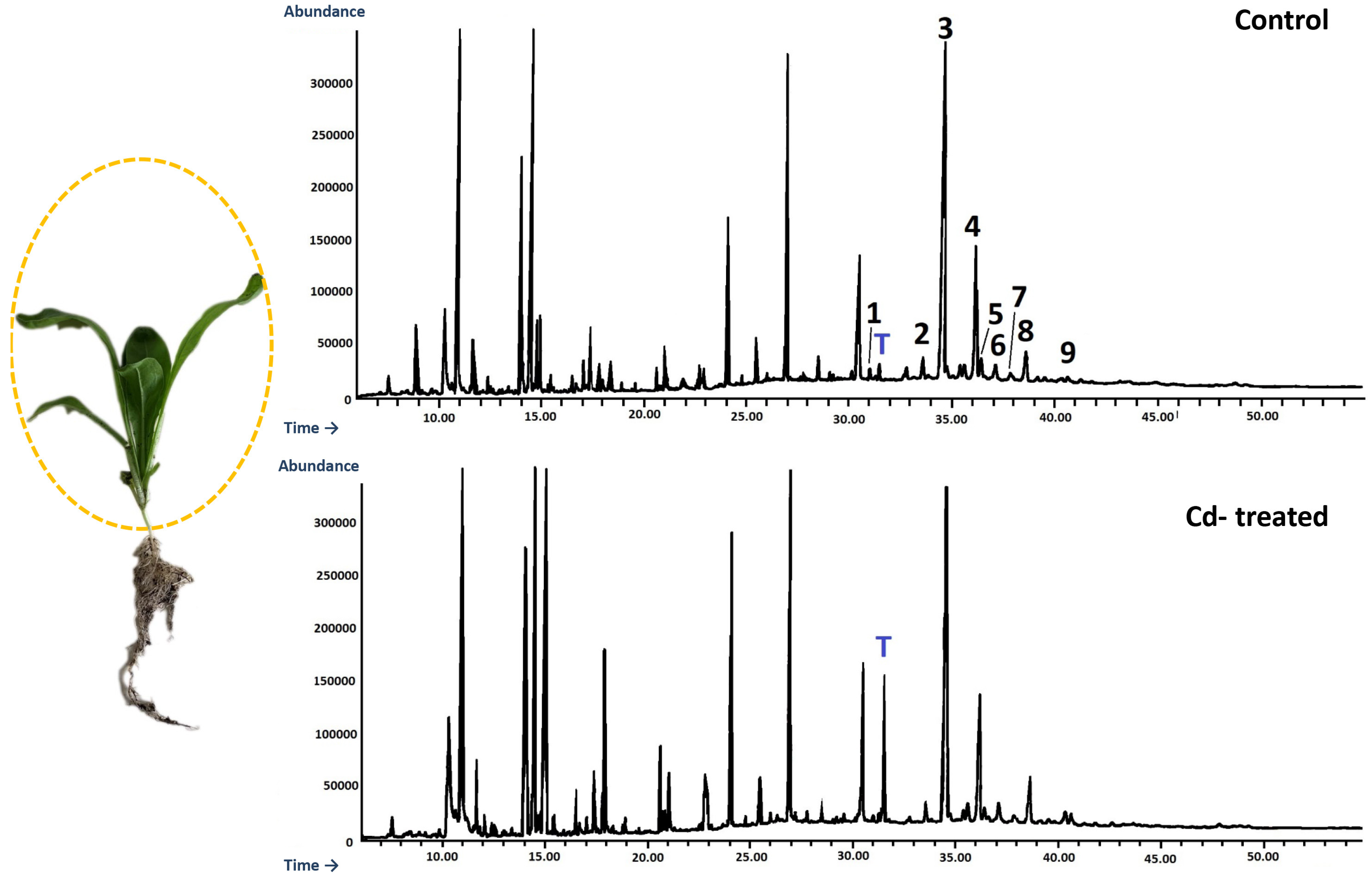 Ijms 23 05640 g019 550