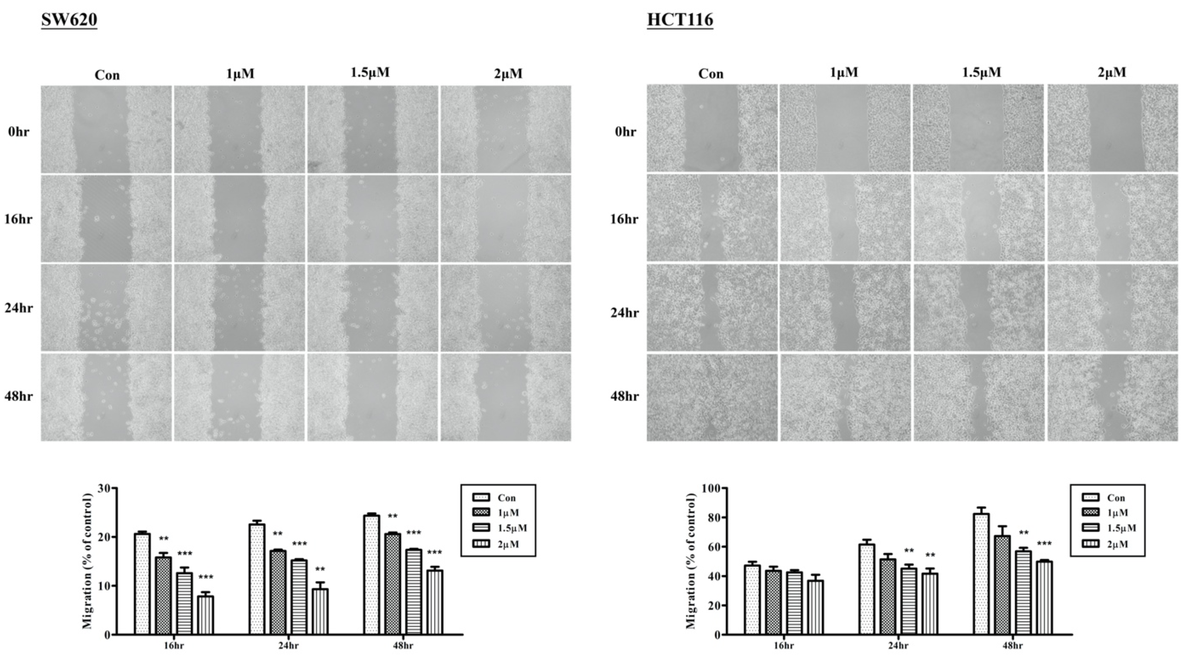 Ijms 23 05645 g002 550