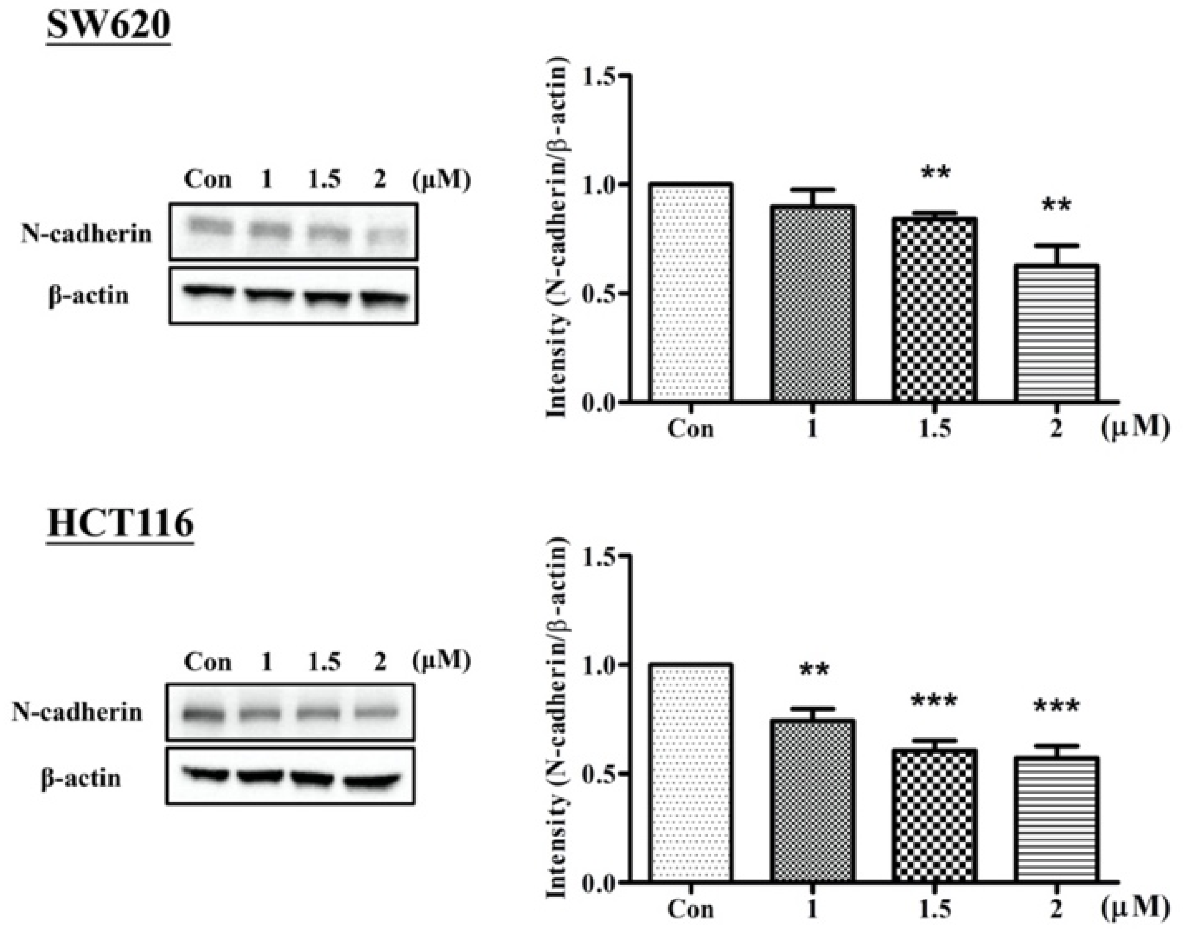 Ijms 23 05645 g004 550