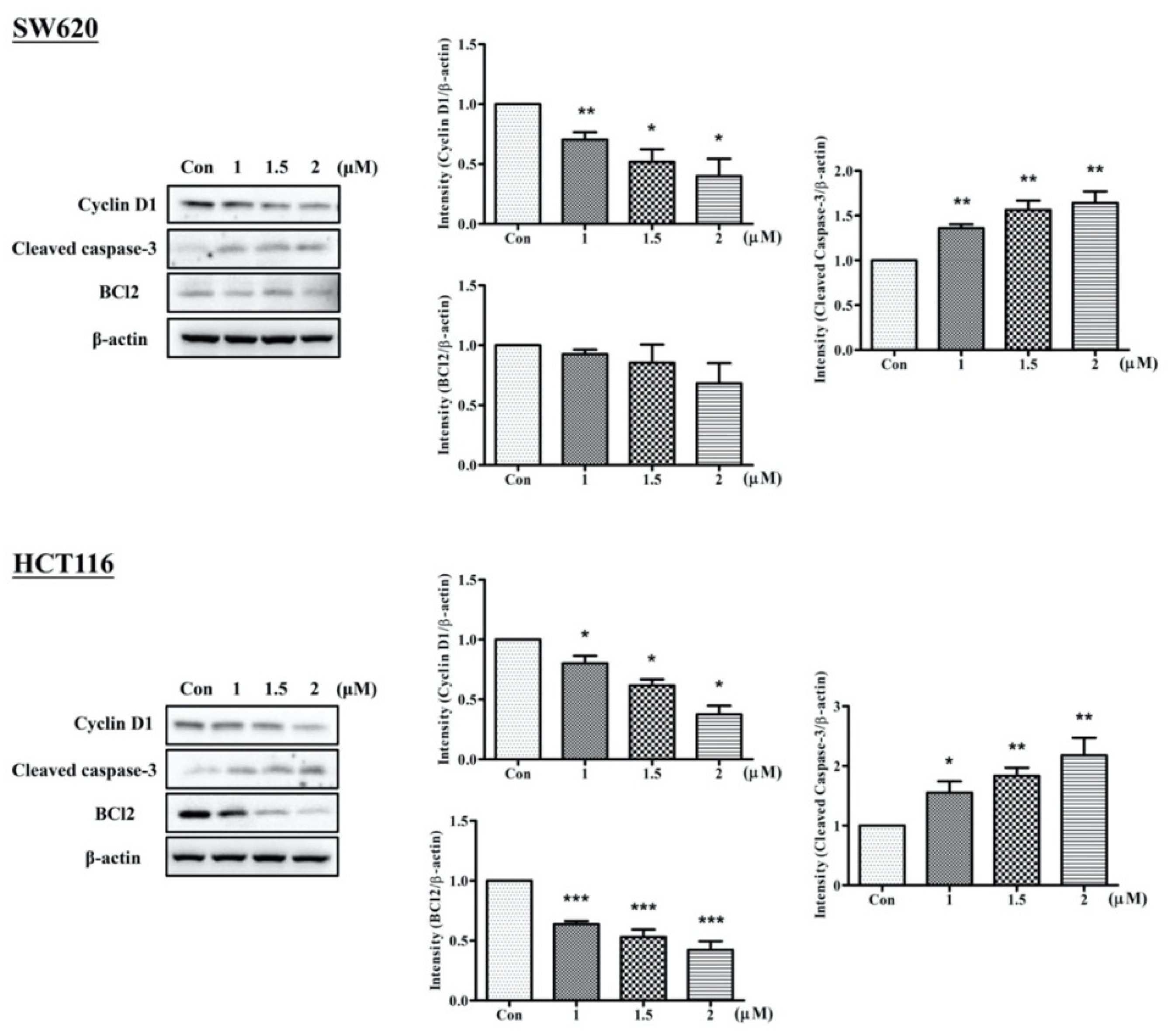 Ijms 23 05645 g005 550