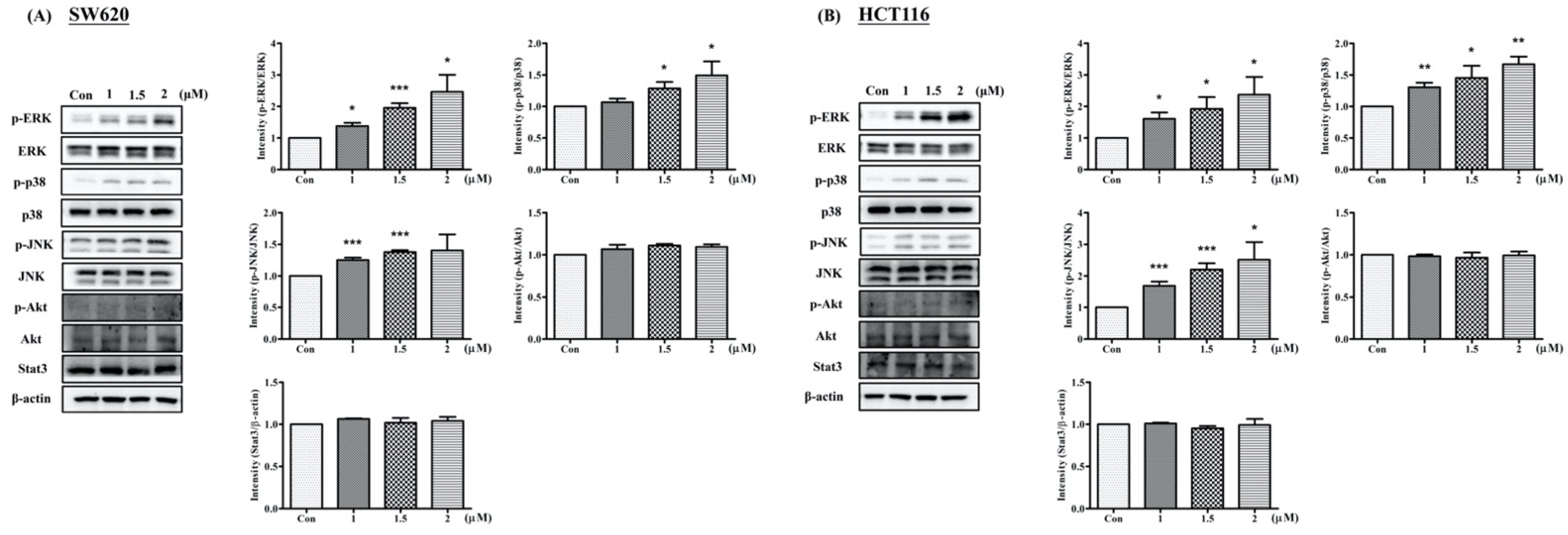 Ijms 23 05645 g007 550