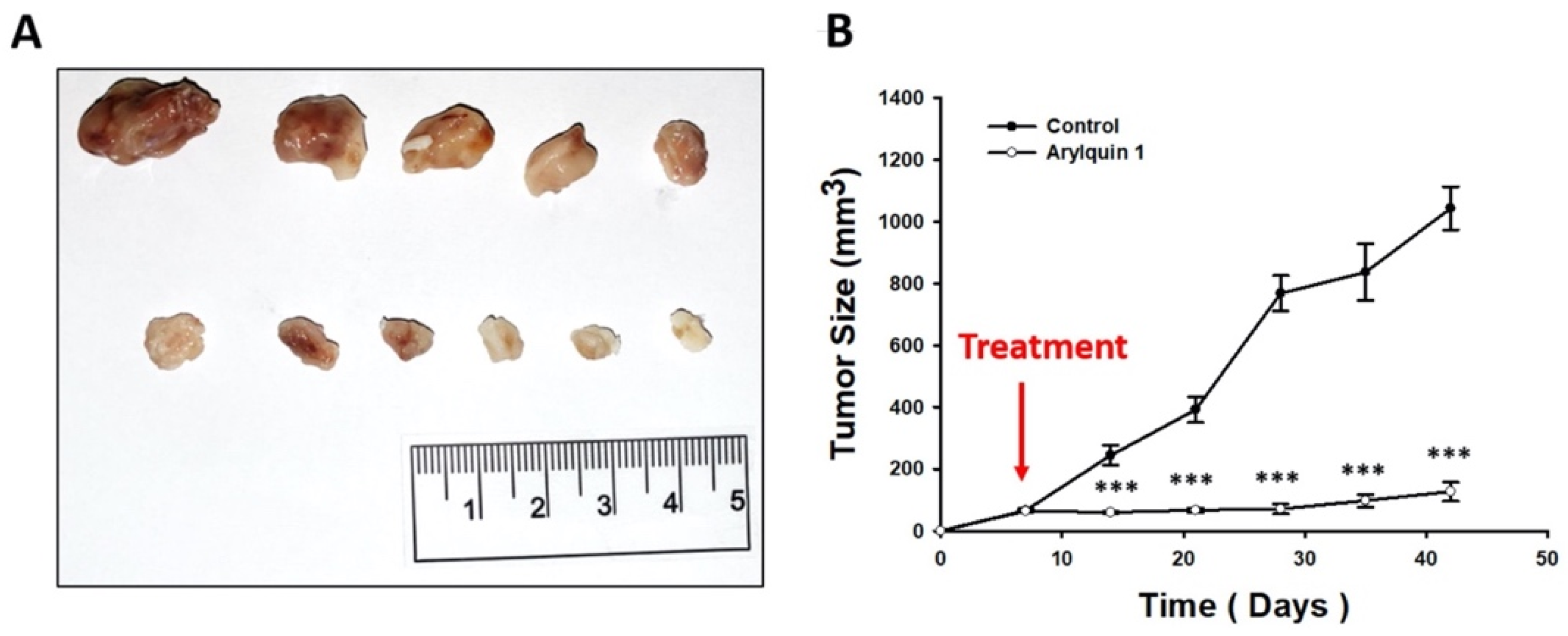 Ijms 23 05645 g008 550