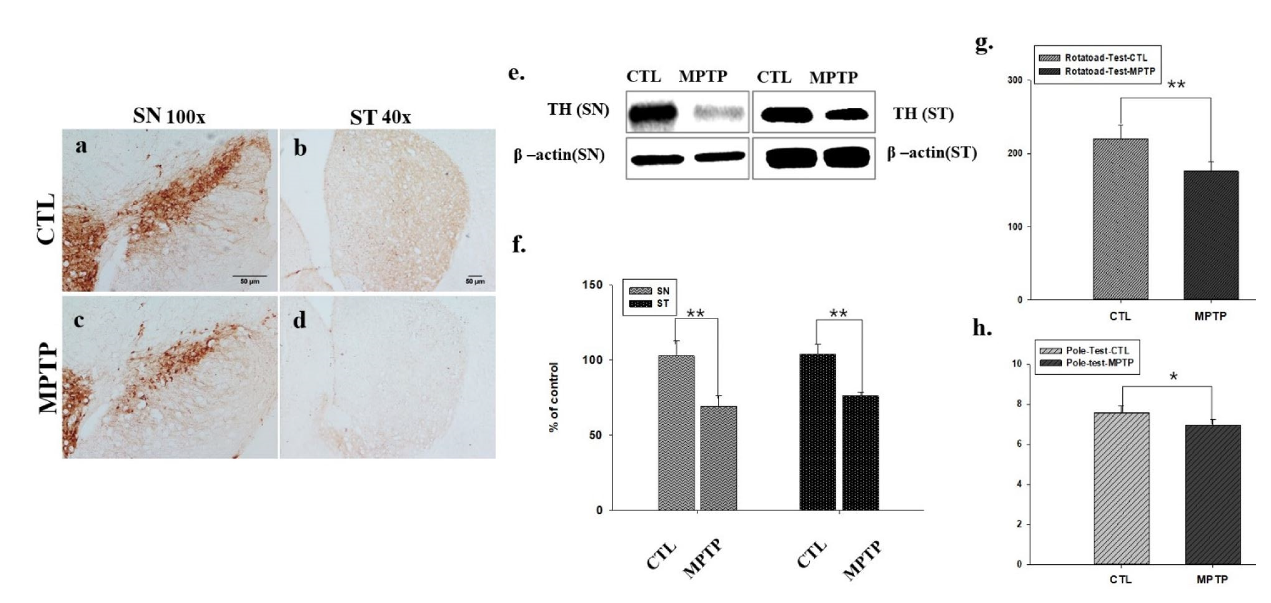Ijms 23 05646 g001 550