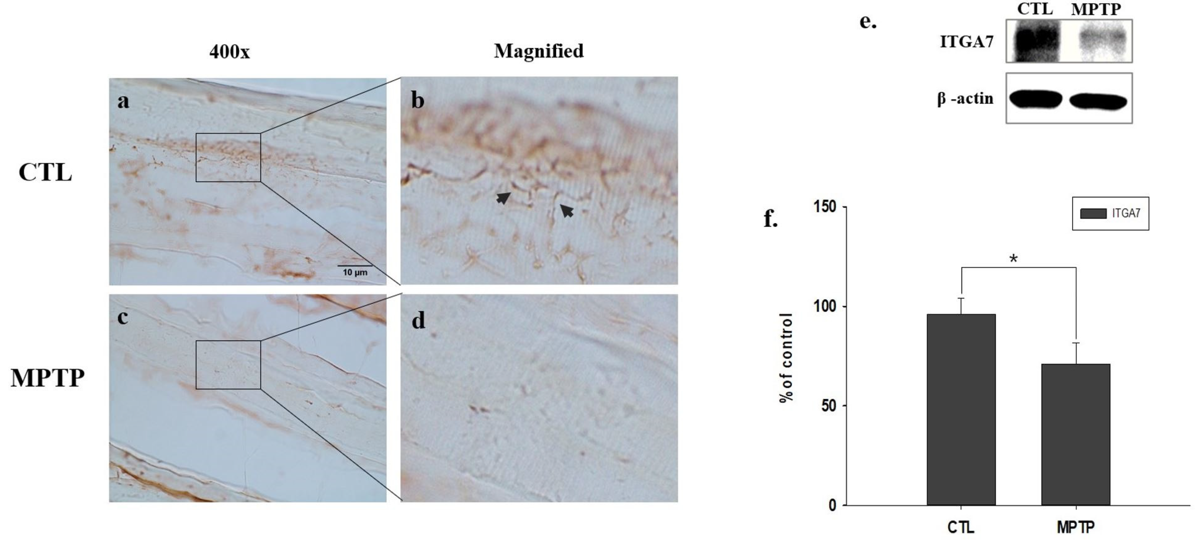 Ijms 23 05646 g002 550