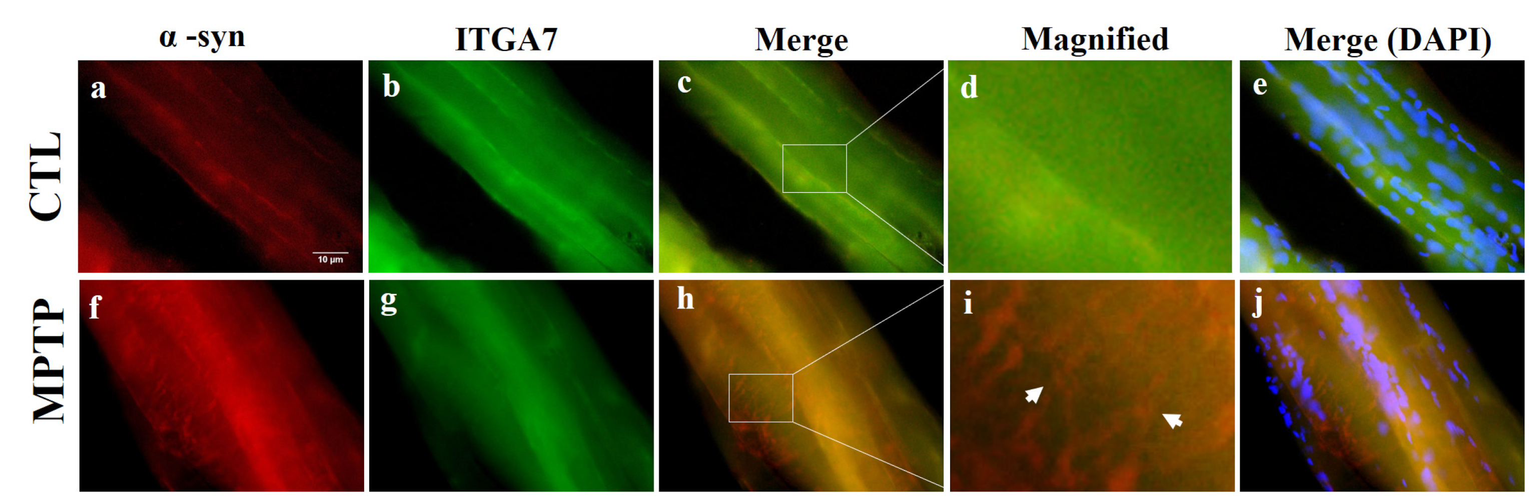 Ijms 23 05646 g004 550