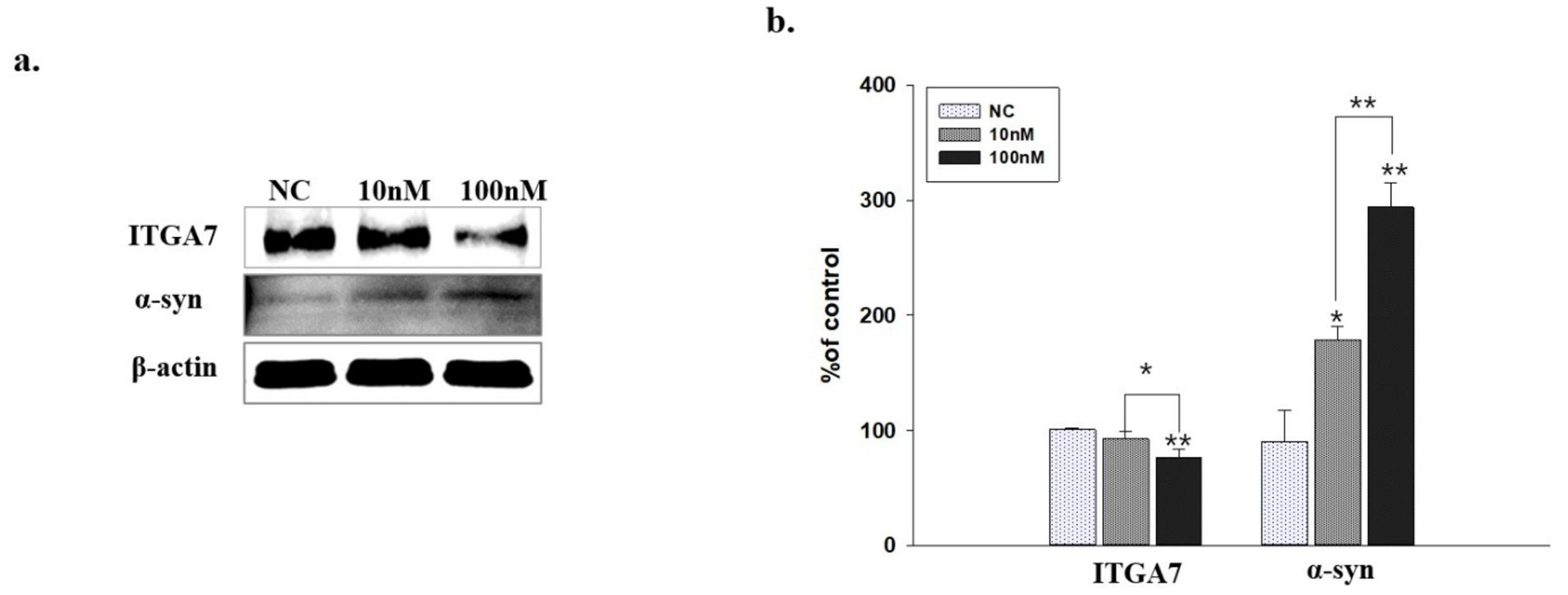 Ijms 23 05646 g005 550