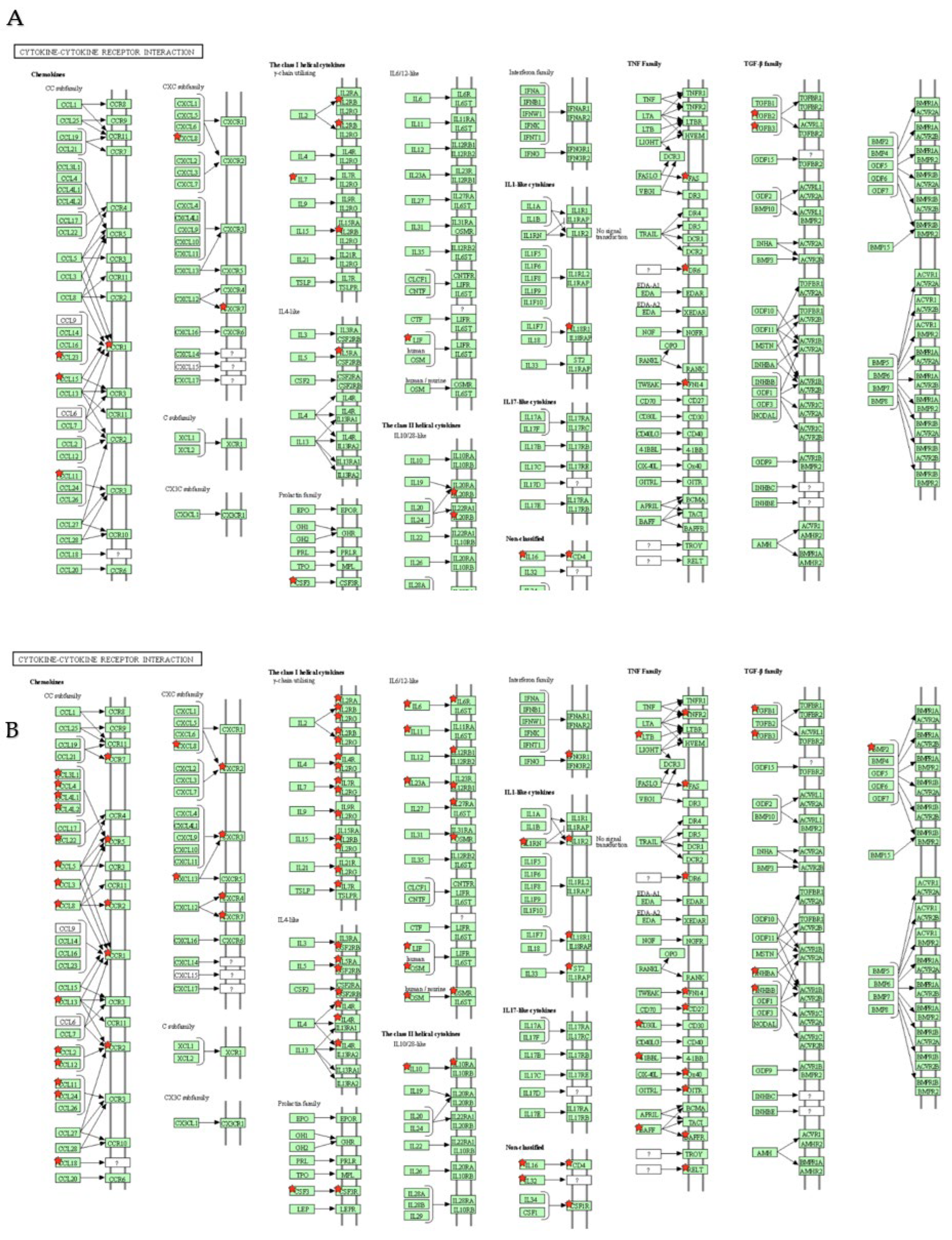 Ijms 23 05653 g008 550