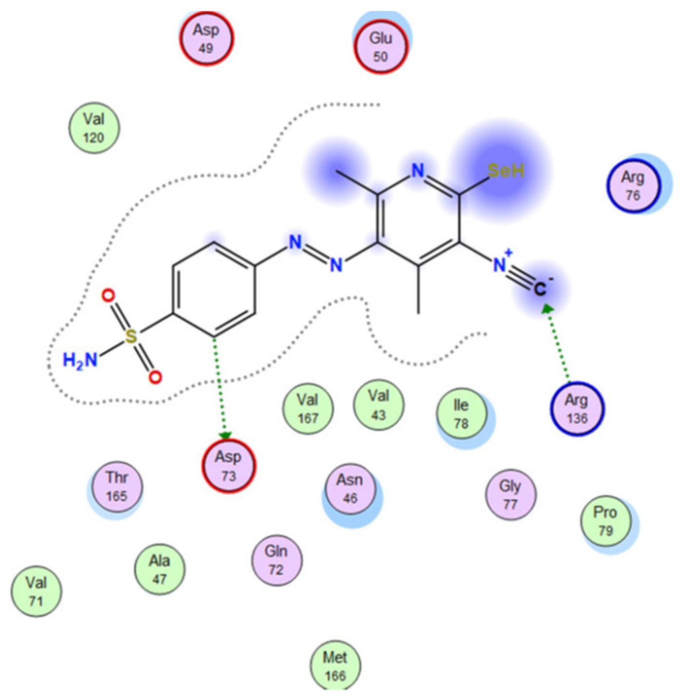 Ijms 23 05659 g020 550