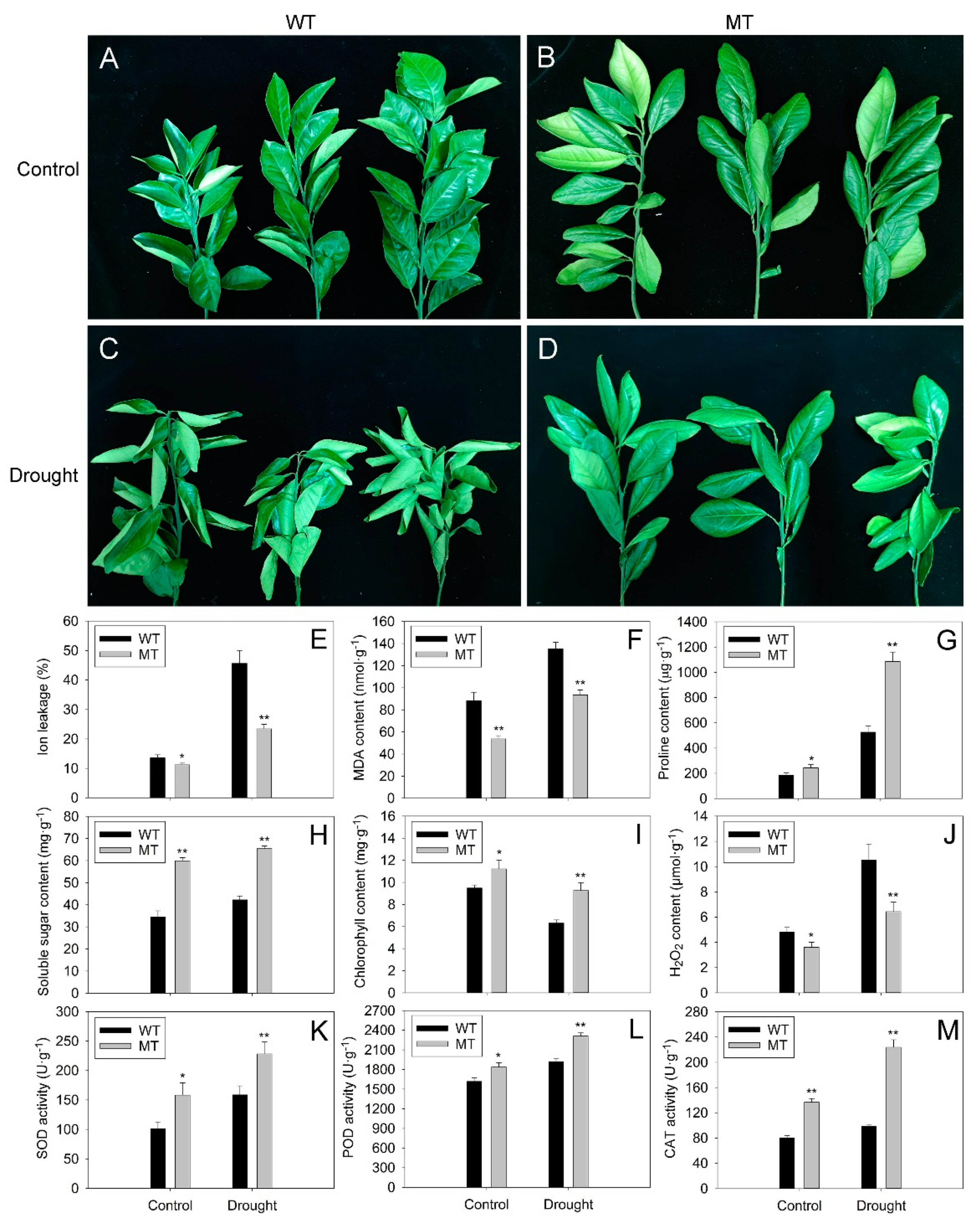 Ijms 23 05660 g004 550