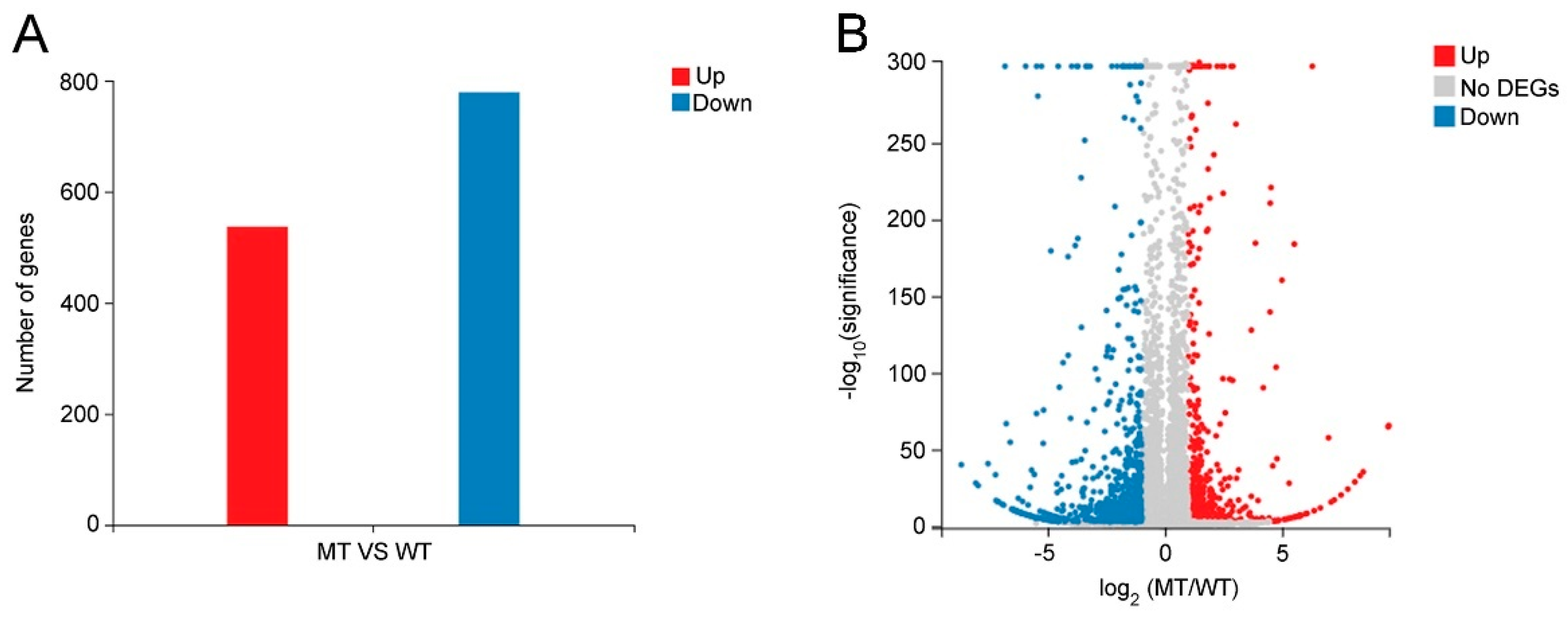Ijms 23 05660 g006 550