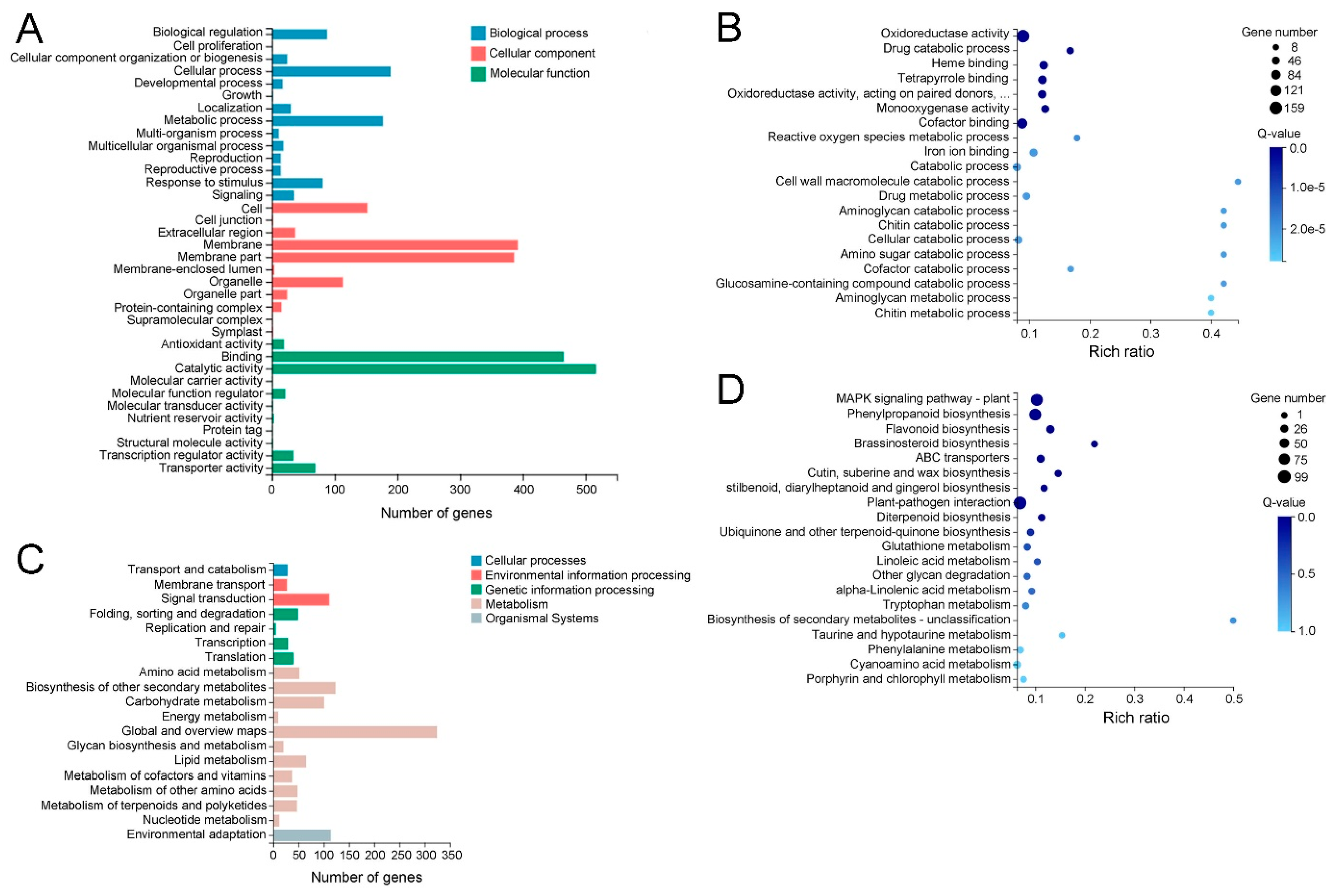 Ijms 23 05660 g007 550