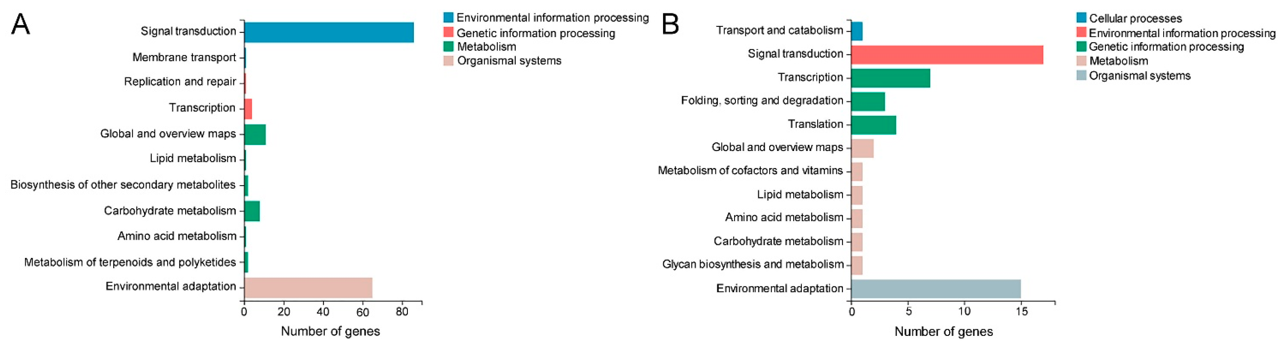 Ijms 23 05660 g009 550
