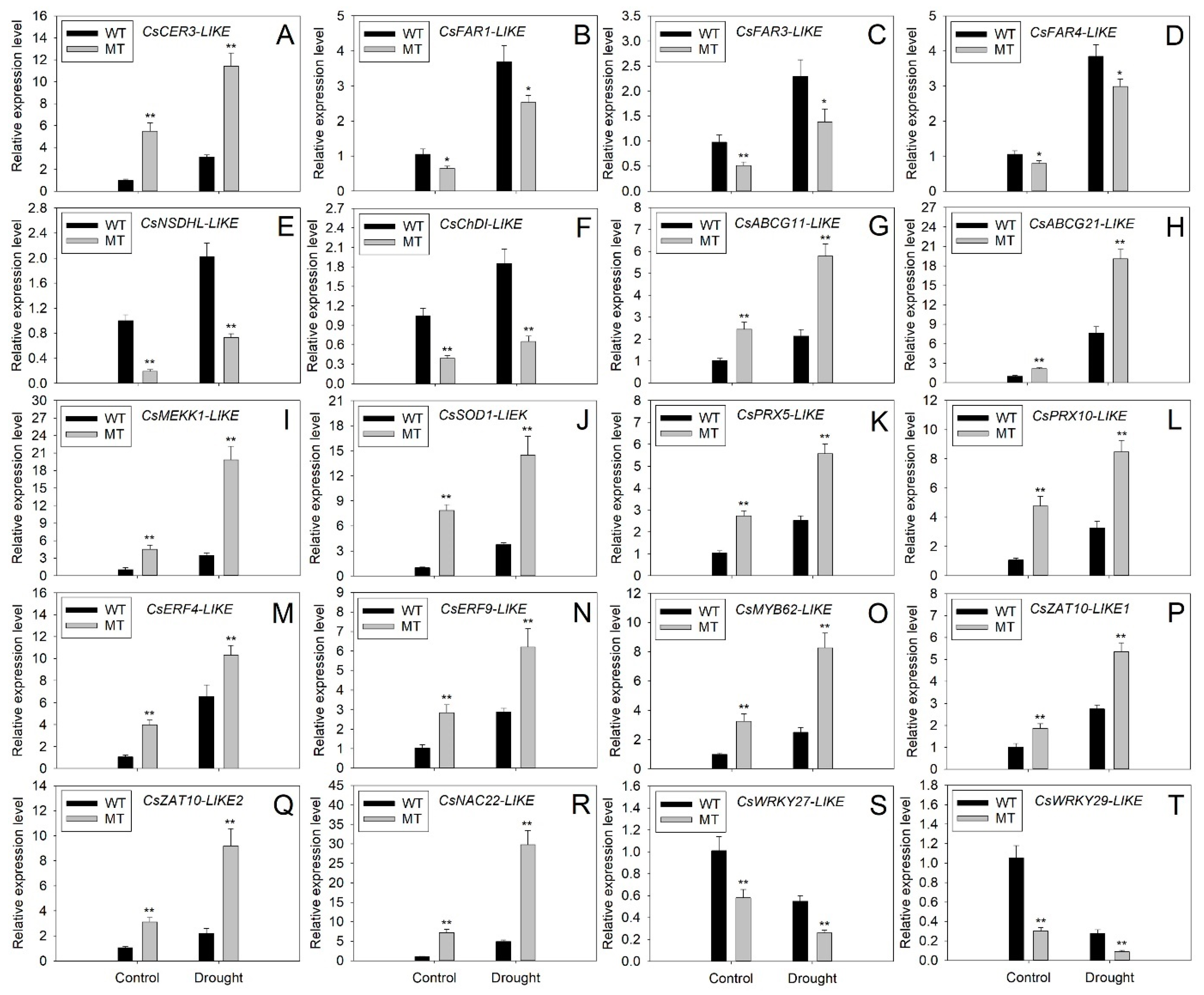 Ijms 23 05660 g010 550