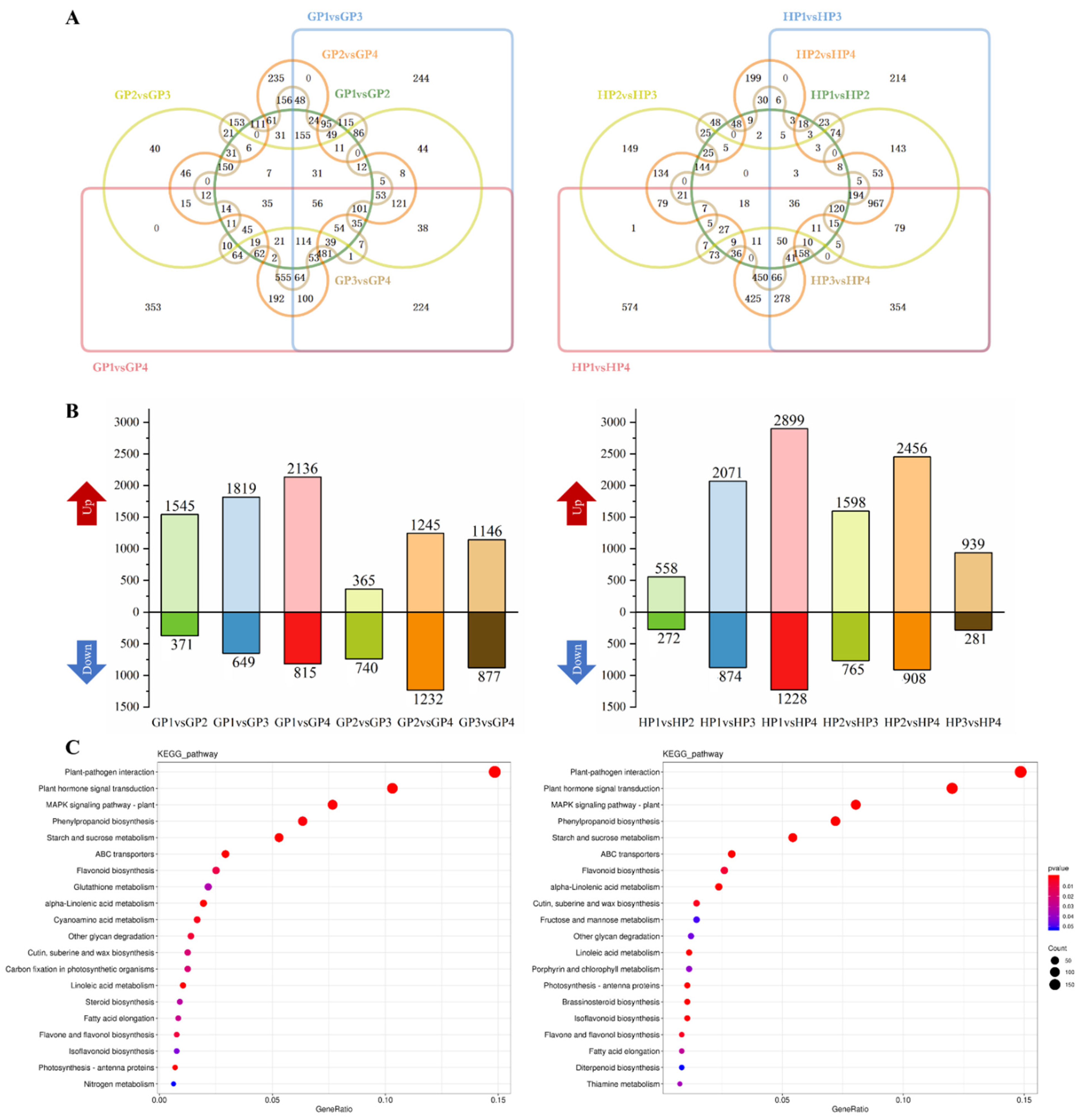 Ijms 23 05665 g001 550