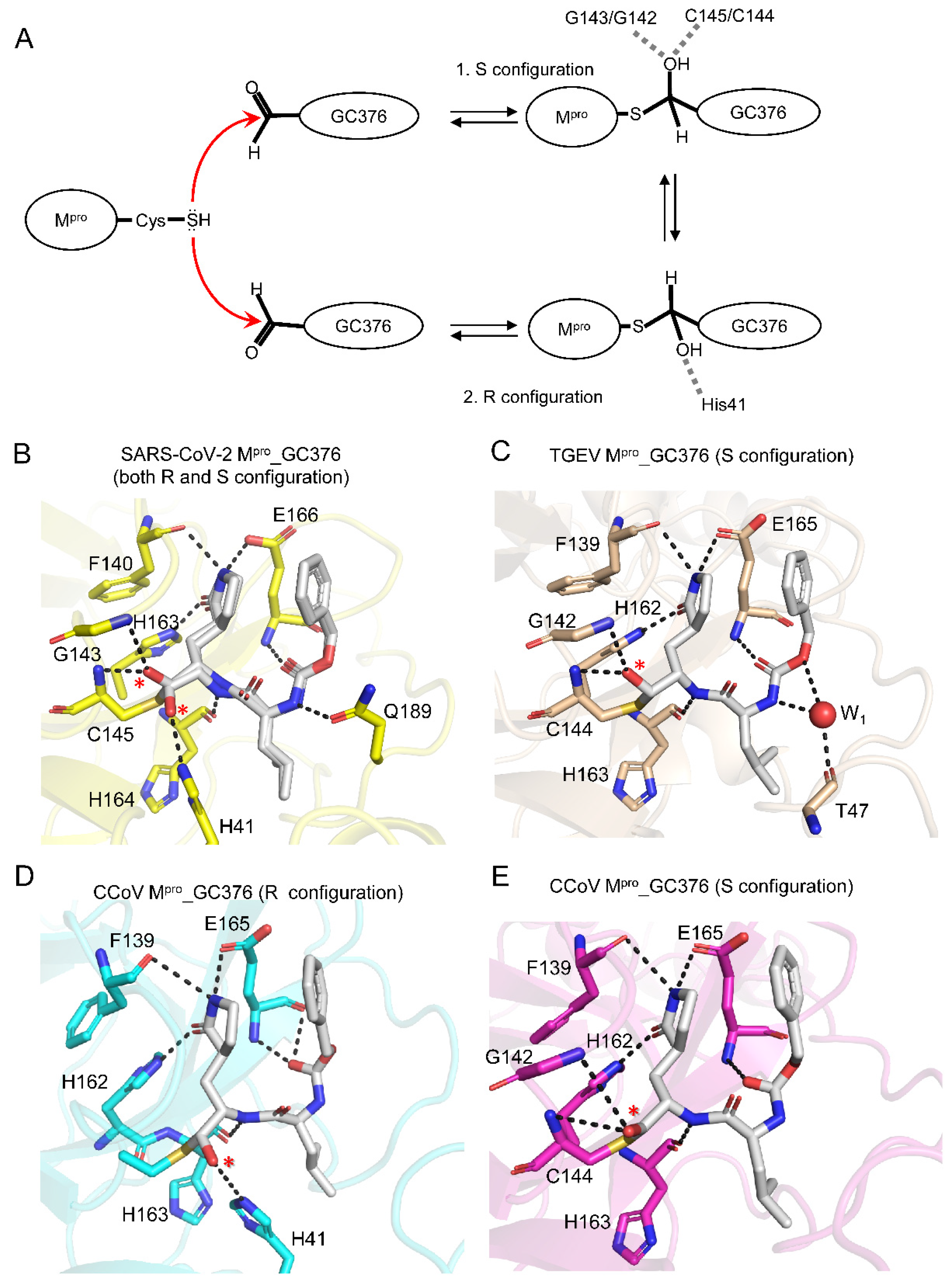 Ijms 23 05669 g003 550