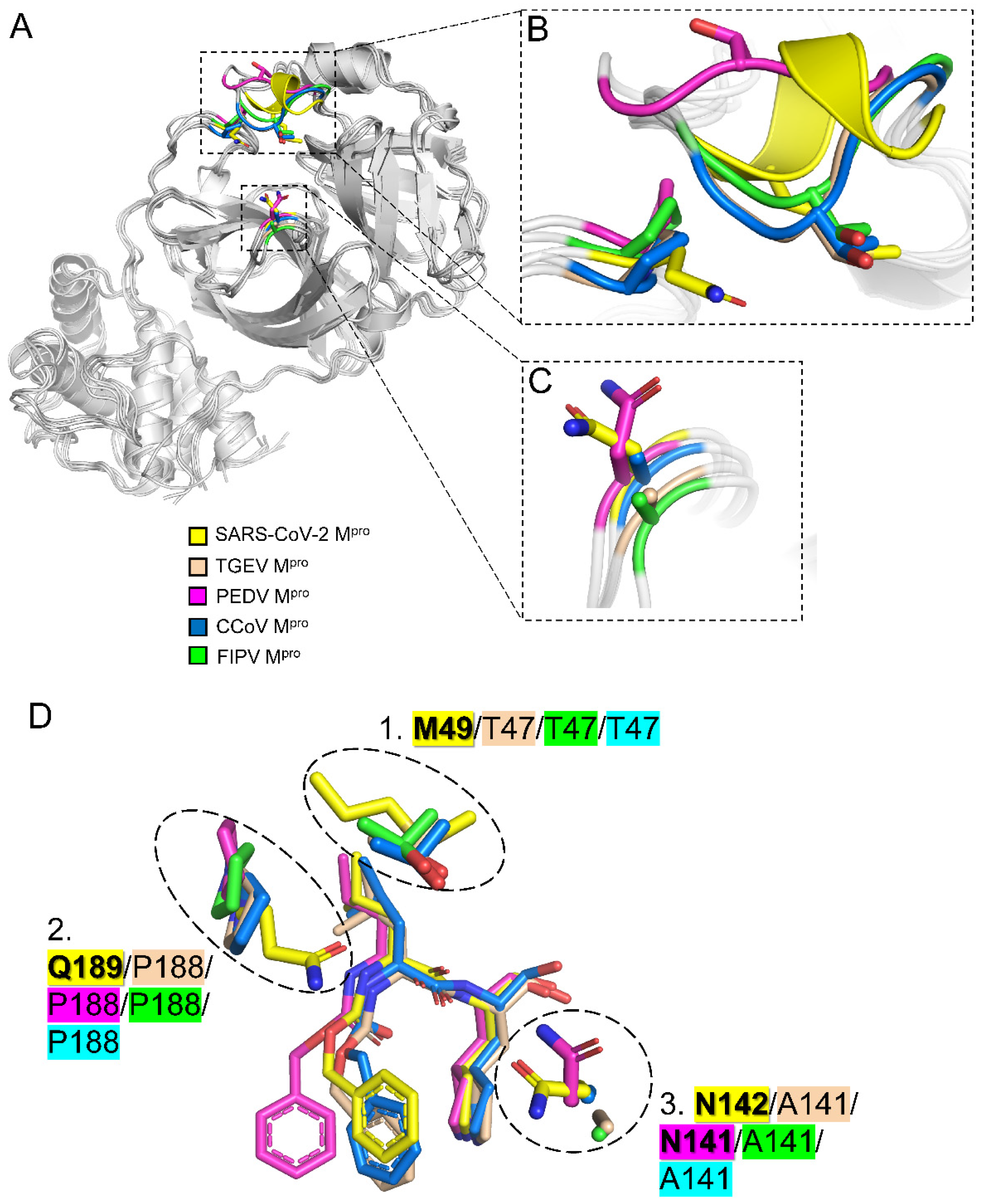 Ijms 23 05669 g004 550