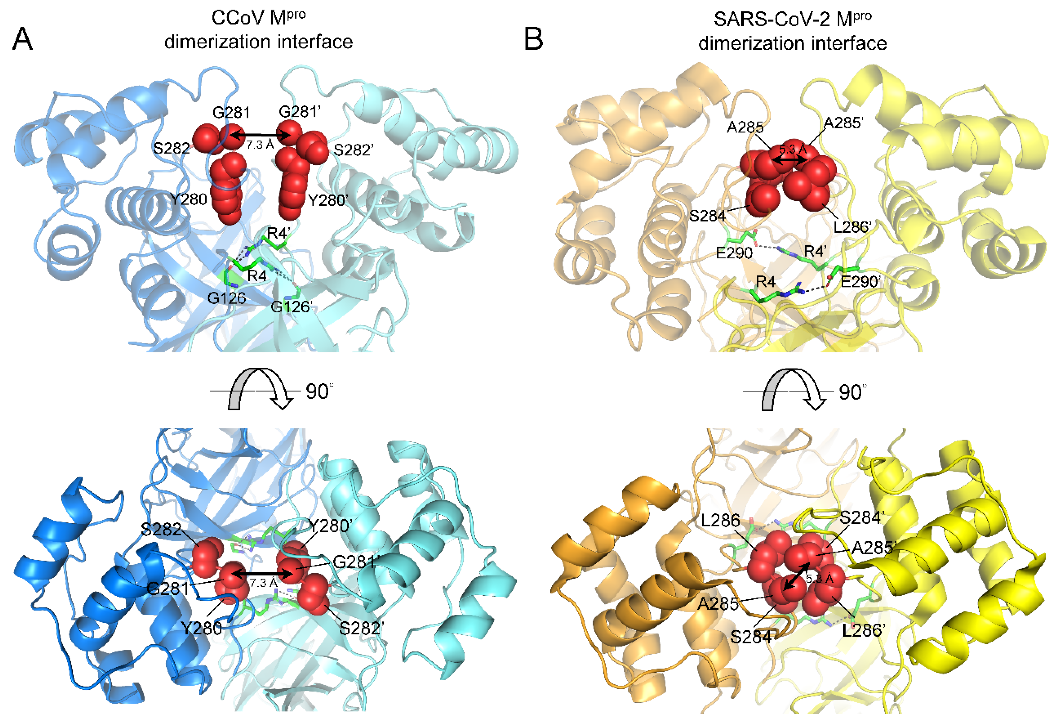 Ijms 23 05669 g006 550
