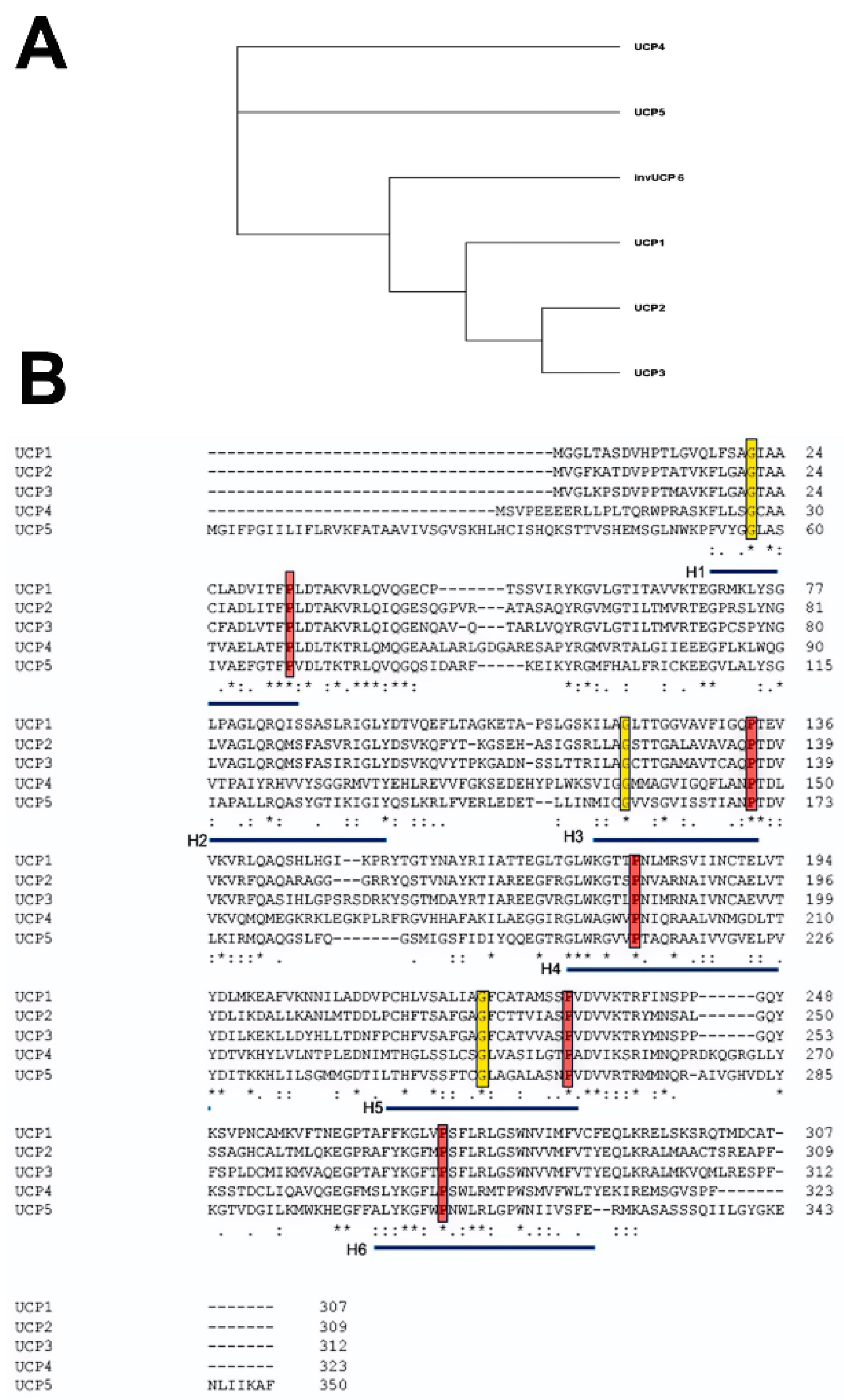 Ijms 23 05672 g001 Ijms 23 05672 g001