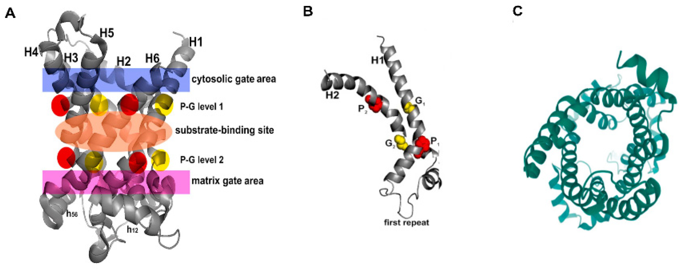 Ijms 23 05672 g002 Ijms 23 05672 g002