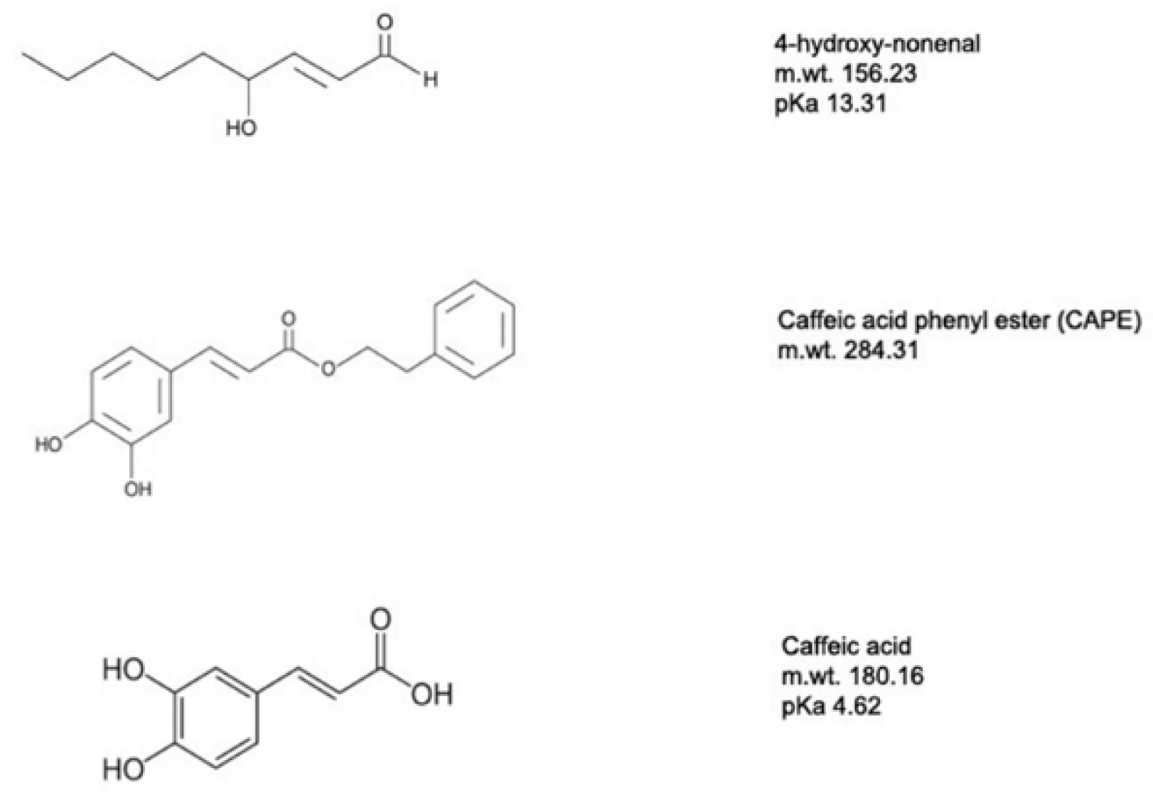 Ijms 23 05672 g004 Ijms 23 05672 g004