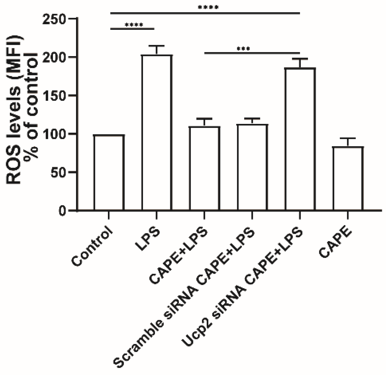 Ijms 23 05672 g006 Ijms 23 05672 g006