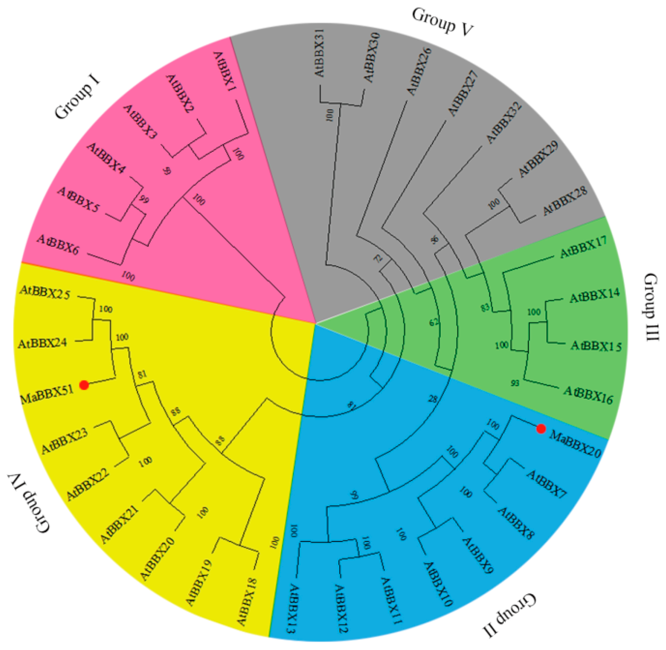 Ijms 23 05678 g002 550