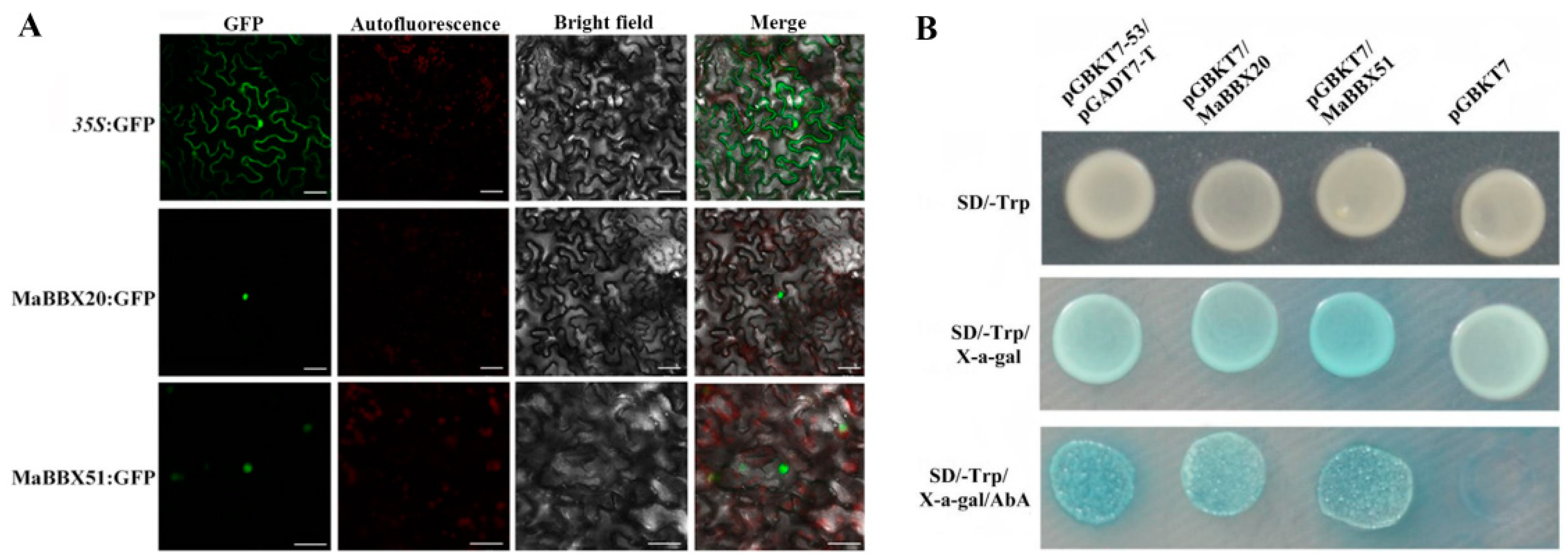 Ijms 23 05678 g003 550