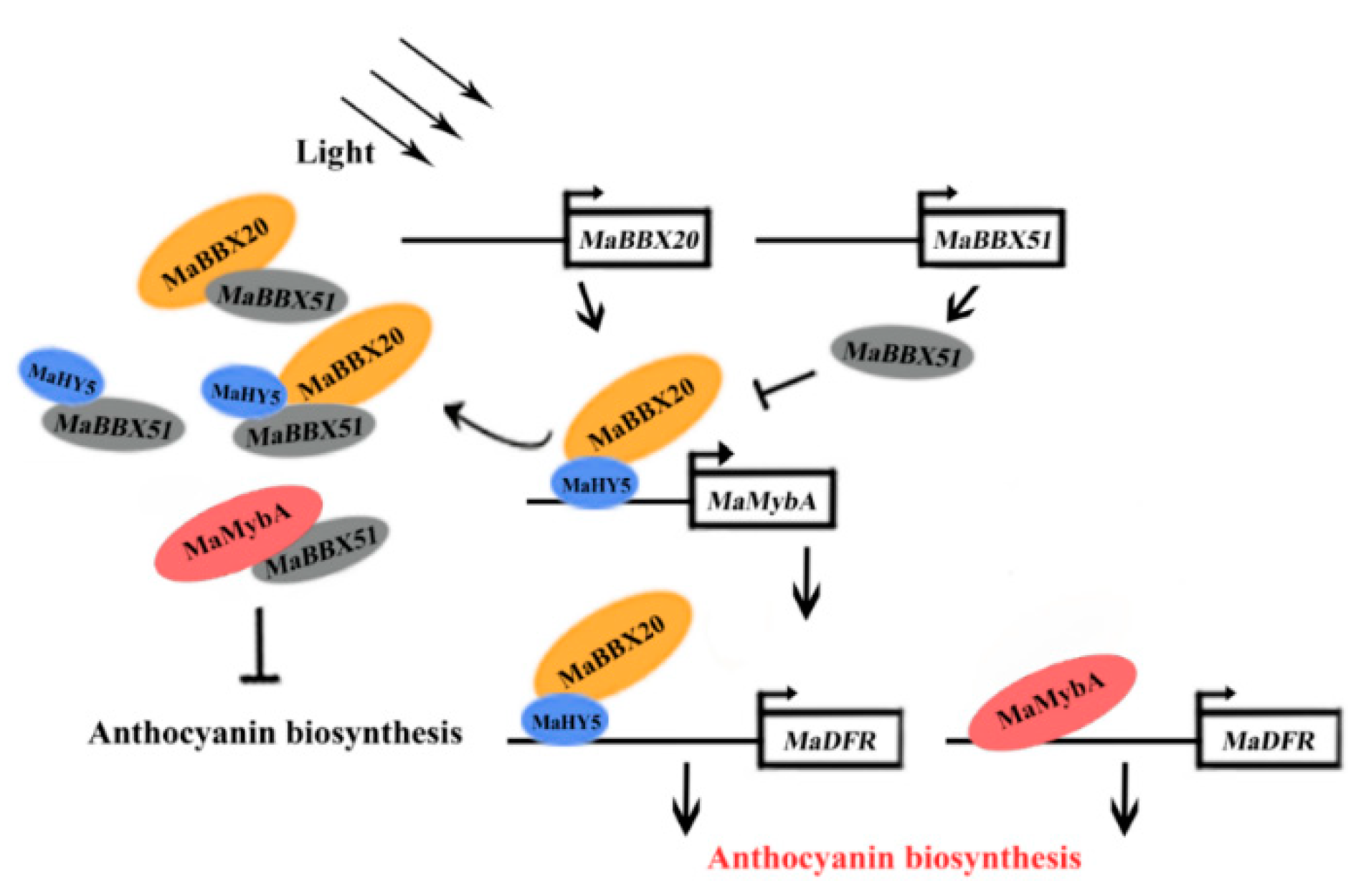 Ijms 23 05678 g008 550