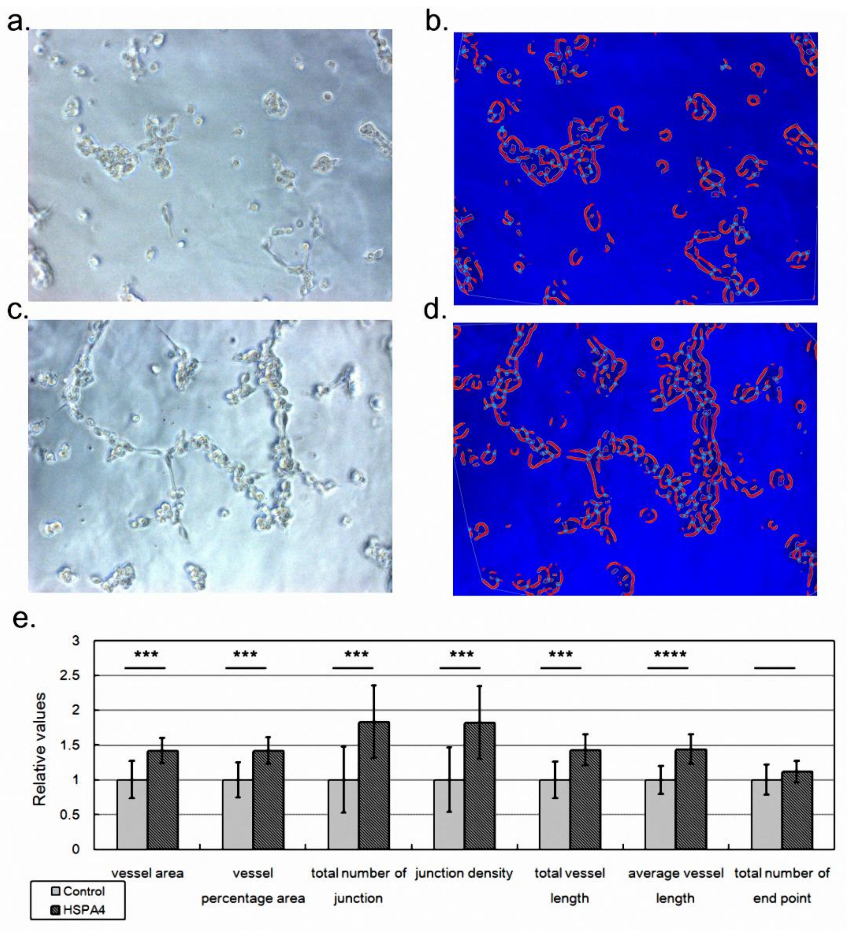 Ijms 23 05682 g005 Ijms 23 05682 g005