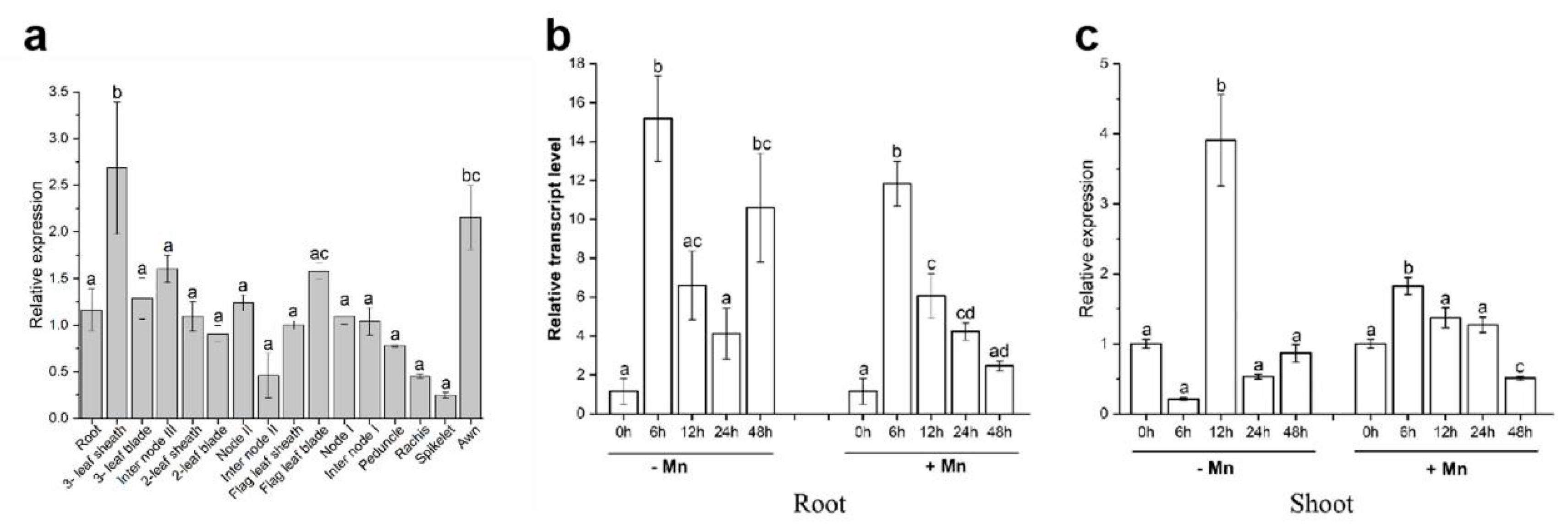 Ijms 23 05683 g001 550
