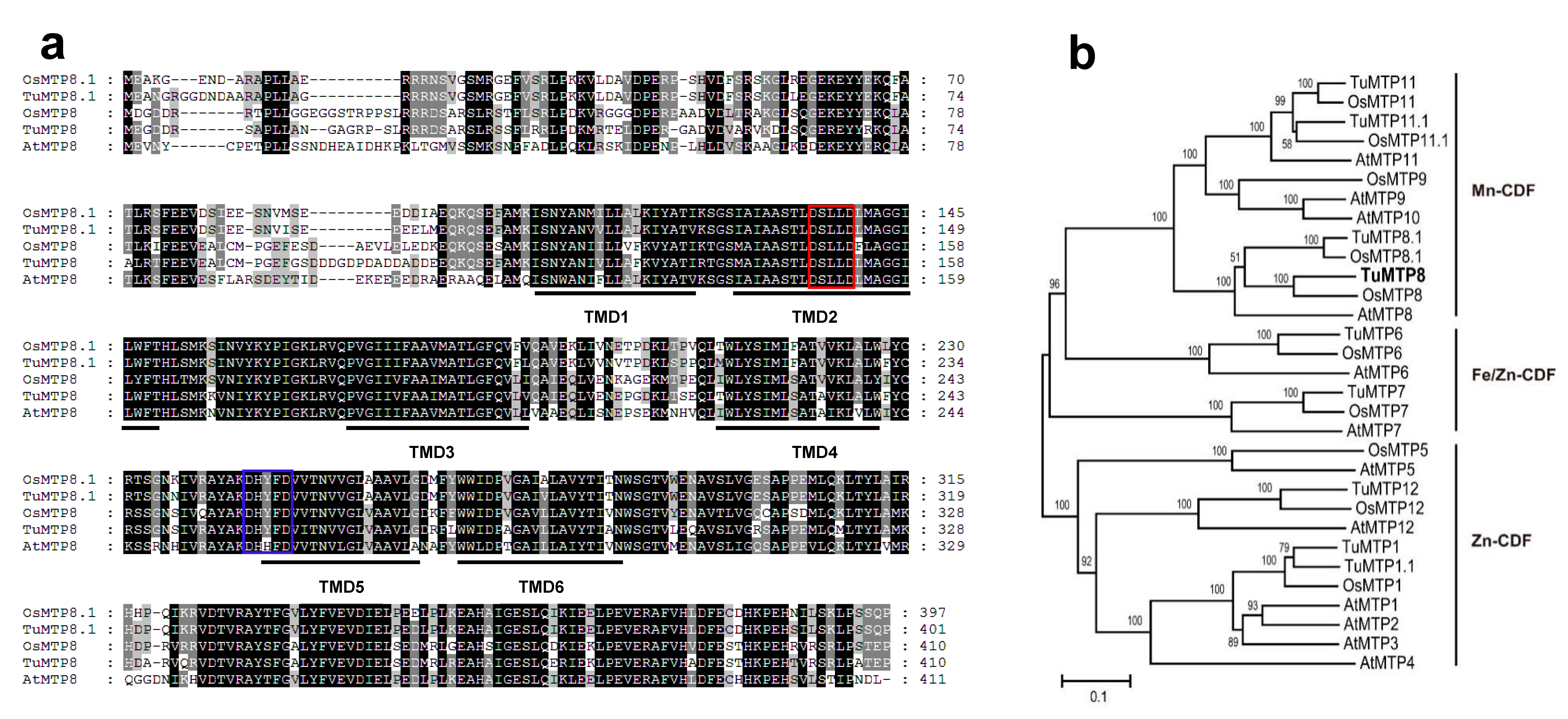 Ijms 23 05683 g002 550