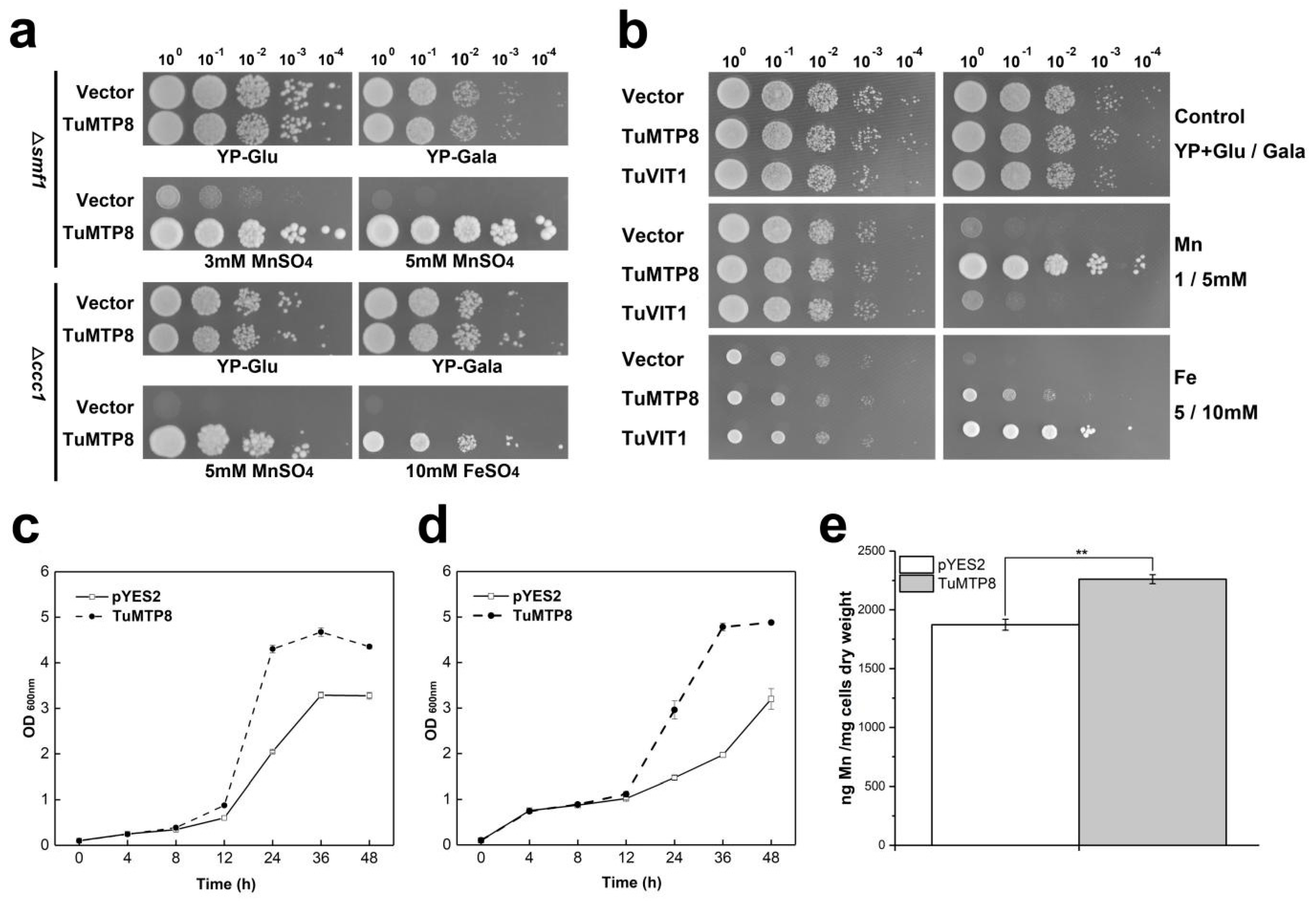 Ijms 23 05683 g003 550