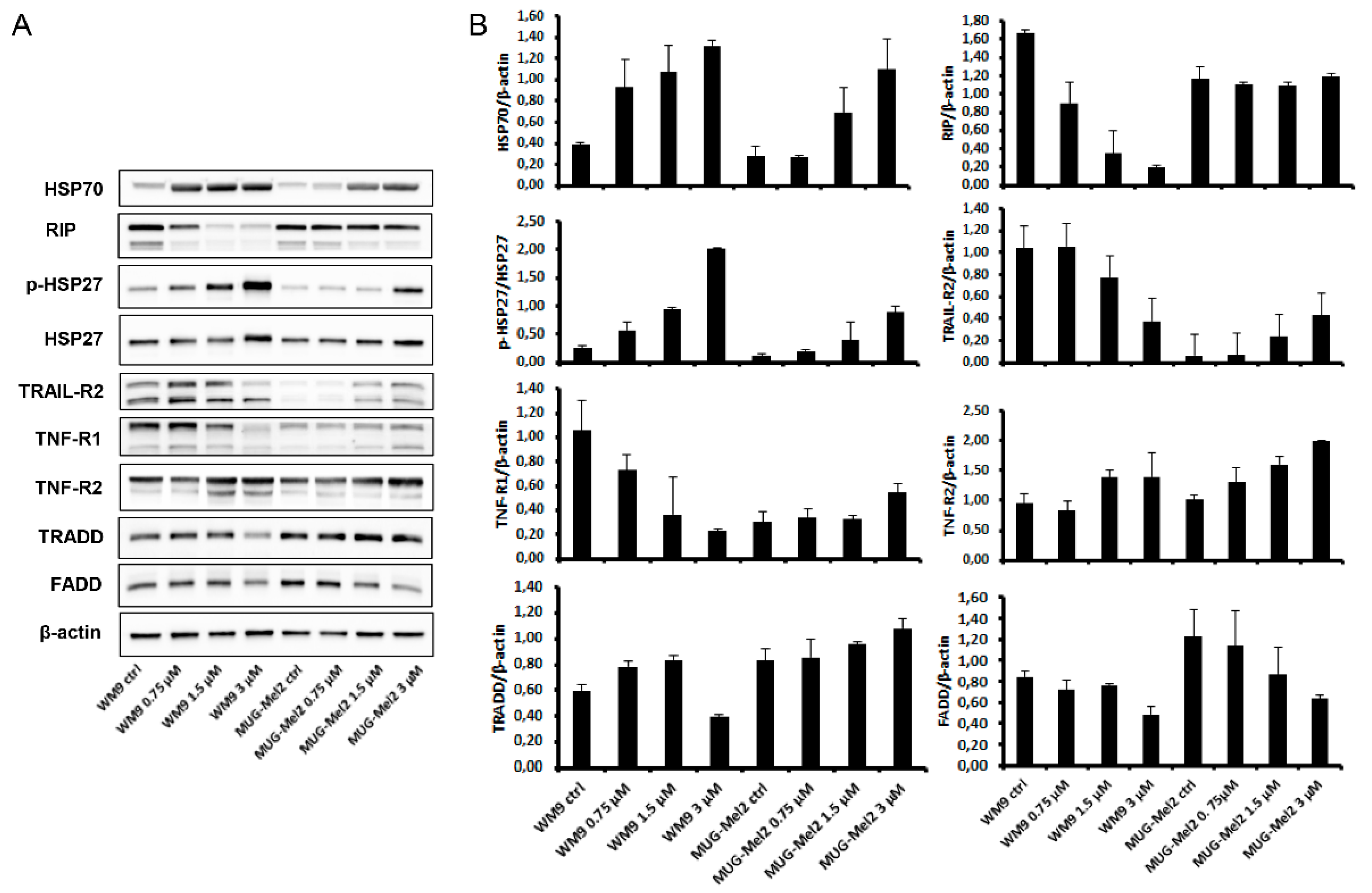 Ijms 23 05684 g005 550