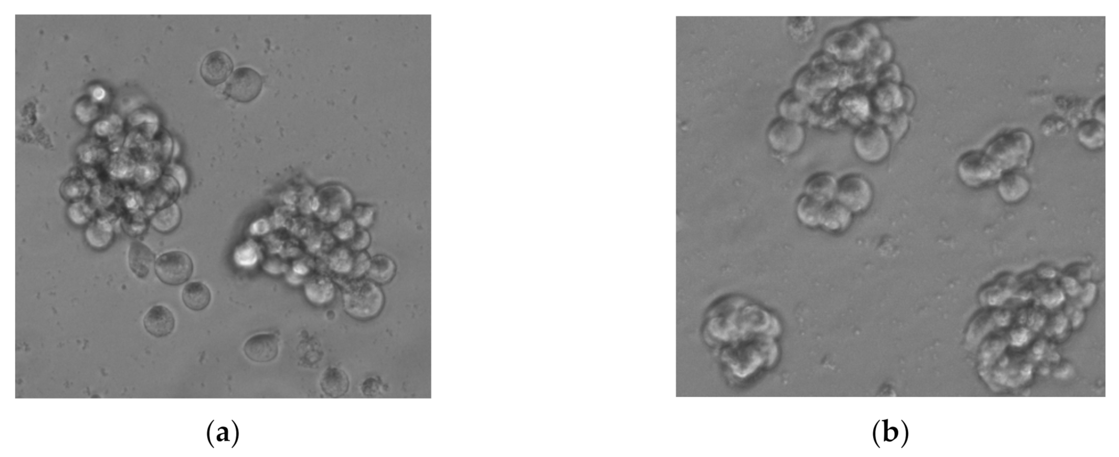 Ijms 23 05691 g0a1 Ijms 23 05691 g0a1