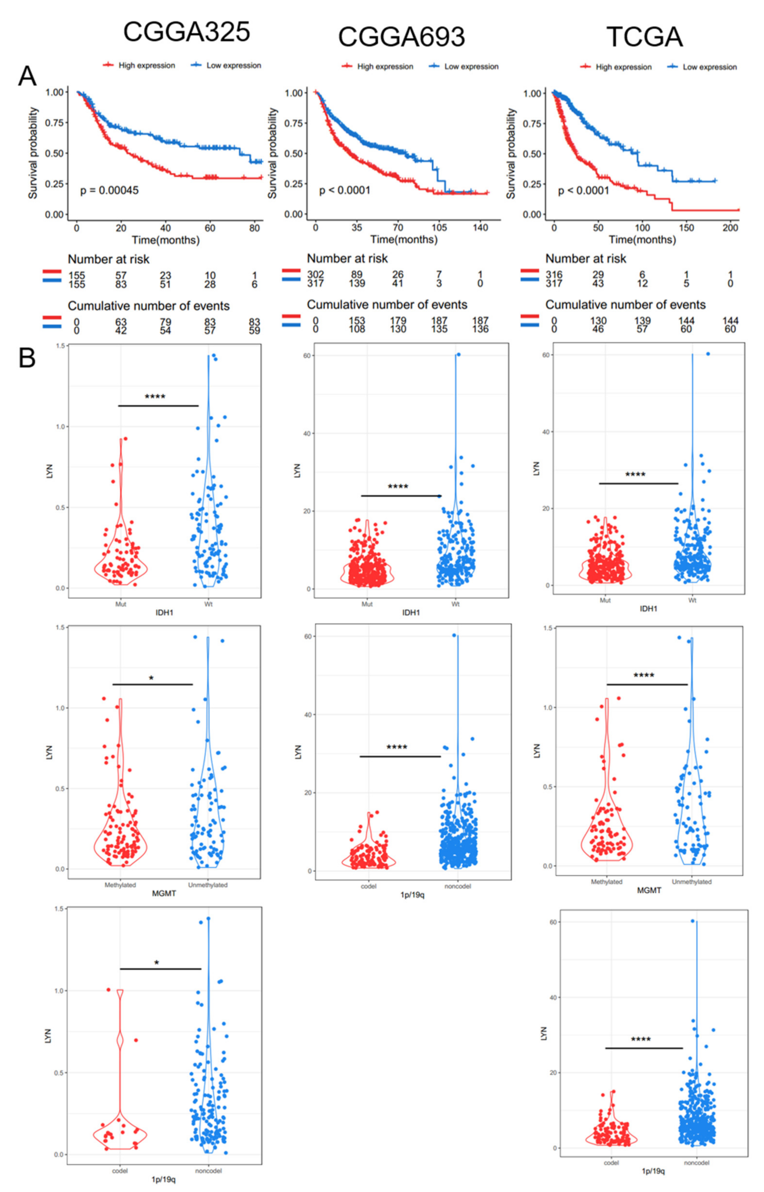 Ijms 23 05691 g0a2 Ijms 23 05691 g0a2