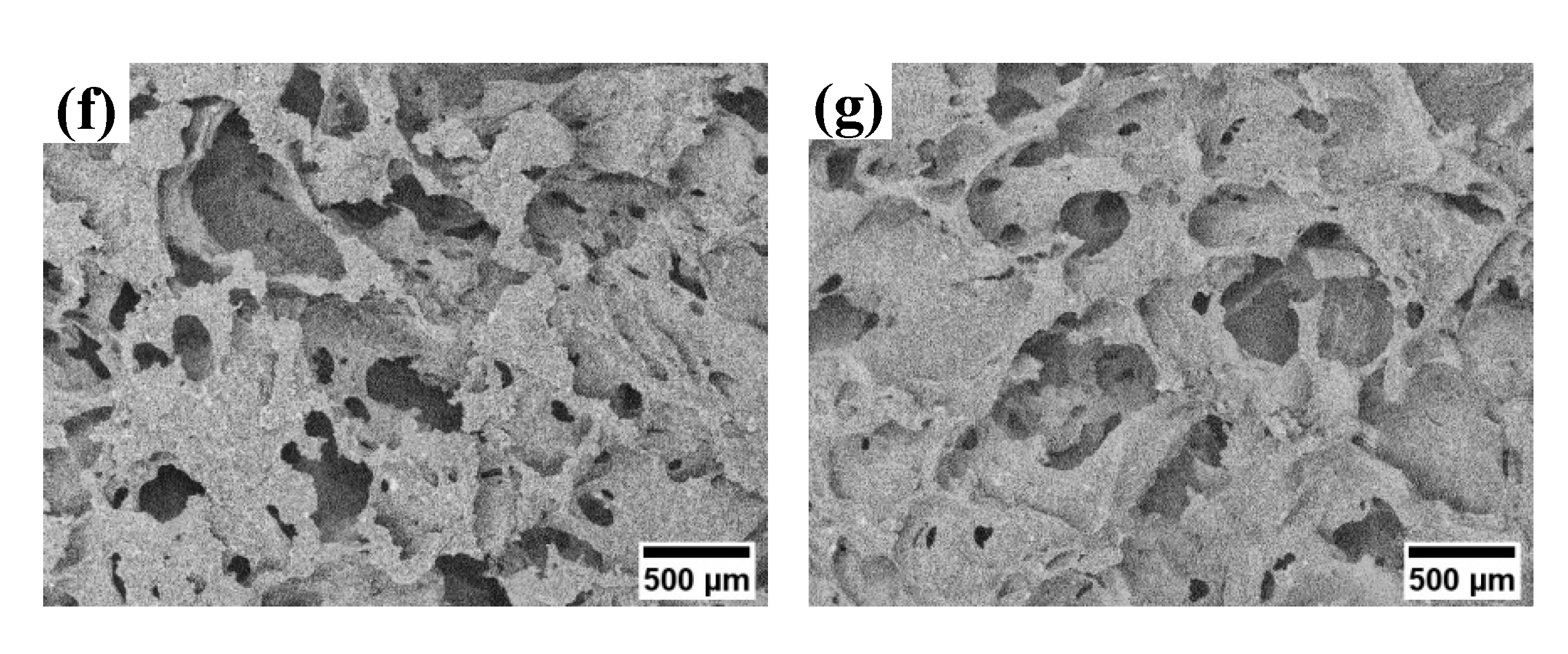 Ijms 23 05695 g001b 550