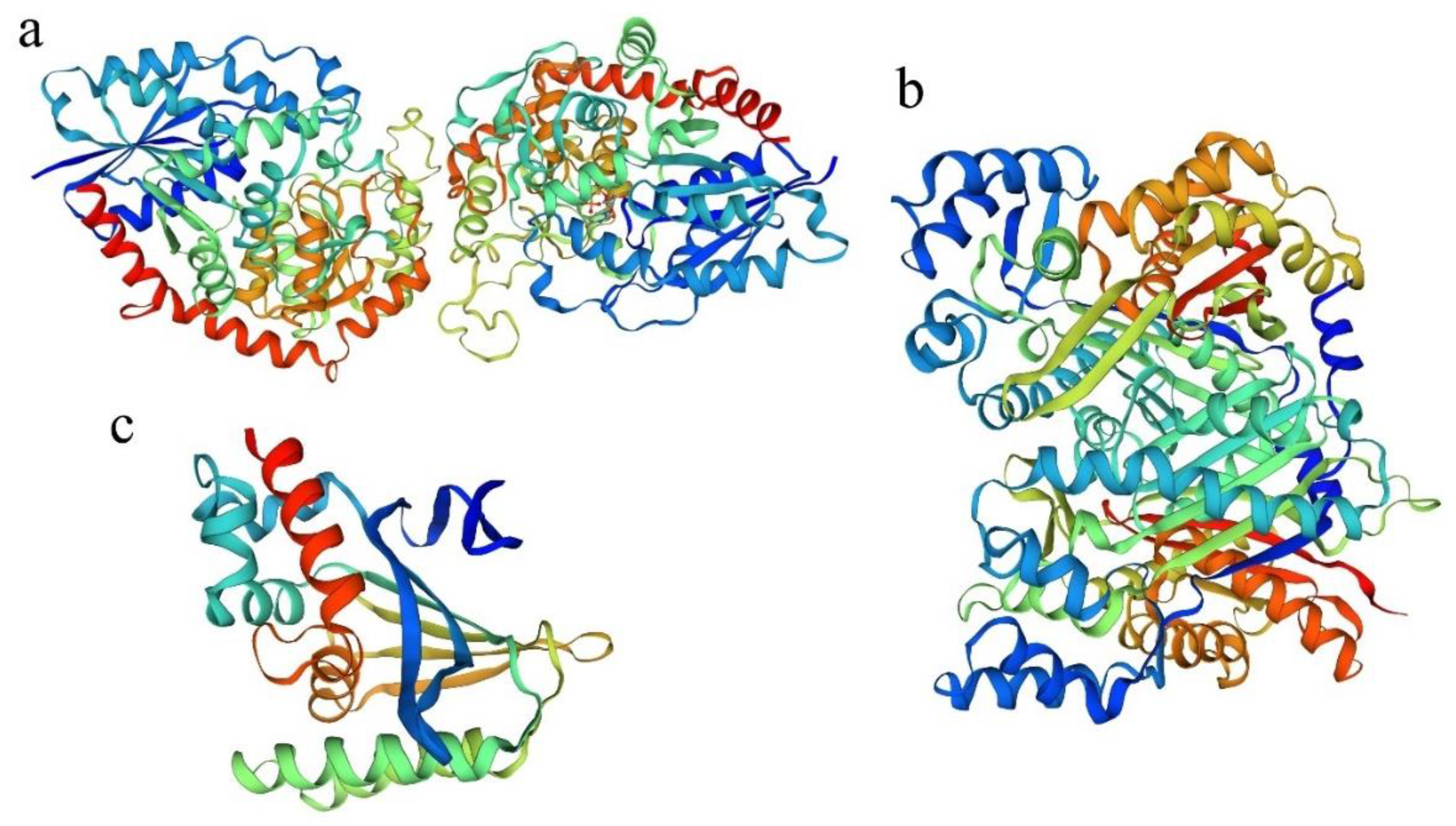 Ijms 23 05696 g003 Ijms 23 05696 g003