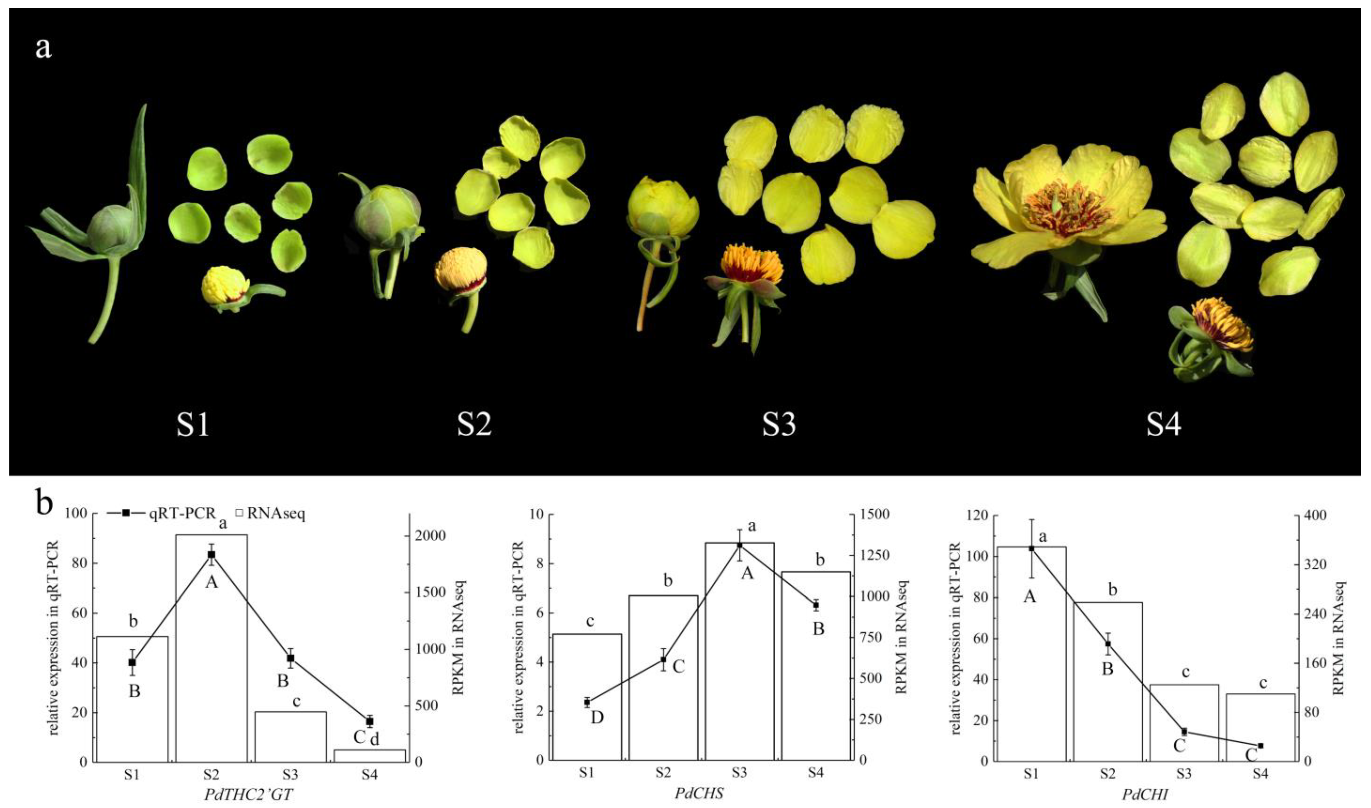 Ijms 23 05696 g004 Ijms 23 05696 g004