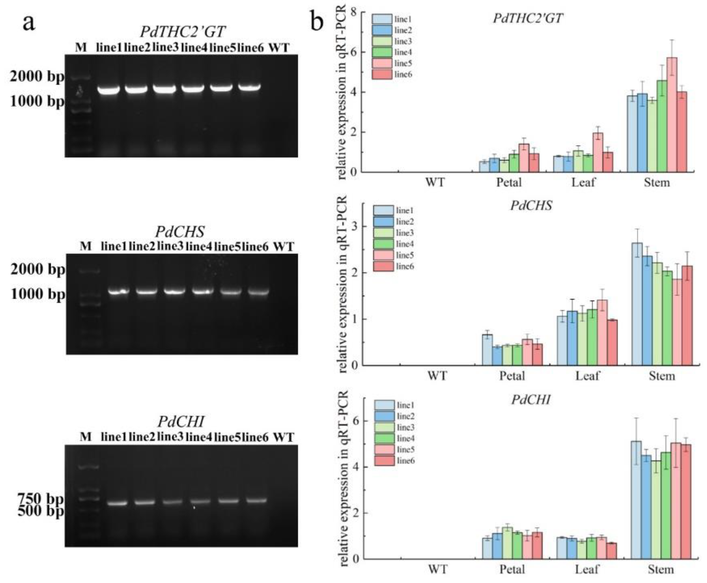 Ijms 23 05696 g006 Ijms 23 05696 g006